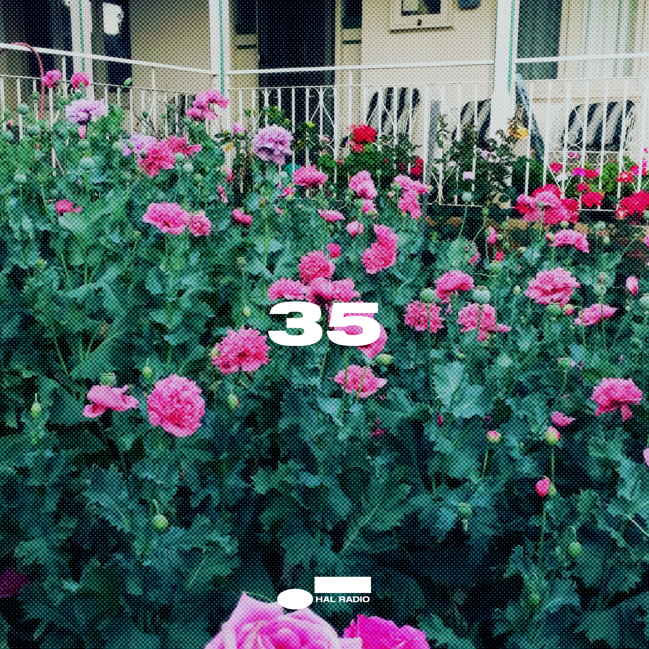 EPISODE 35 | HOLIDAZE GREETINGS '24