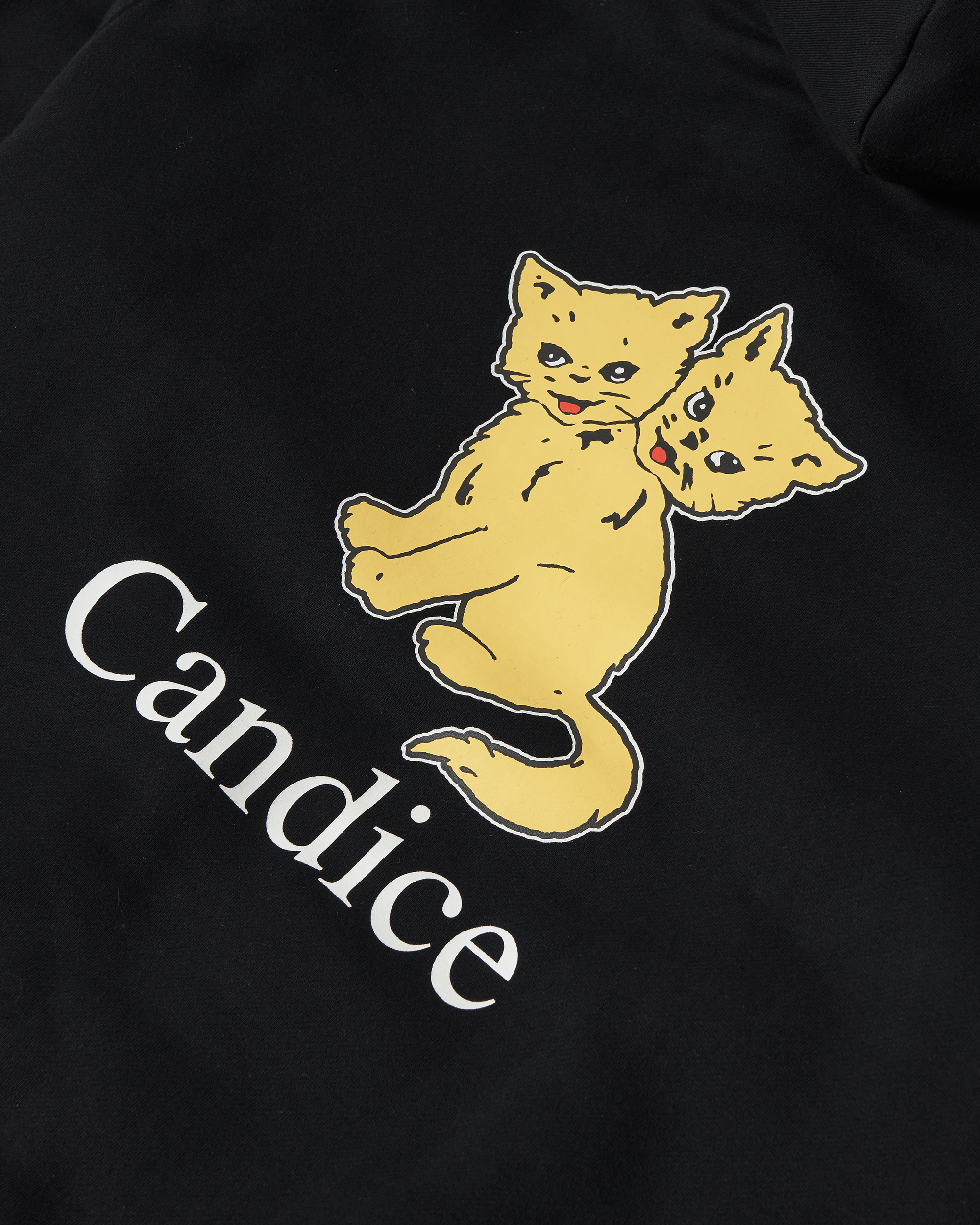 CANDICE Melvin Zippered Hoodie - Black