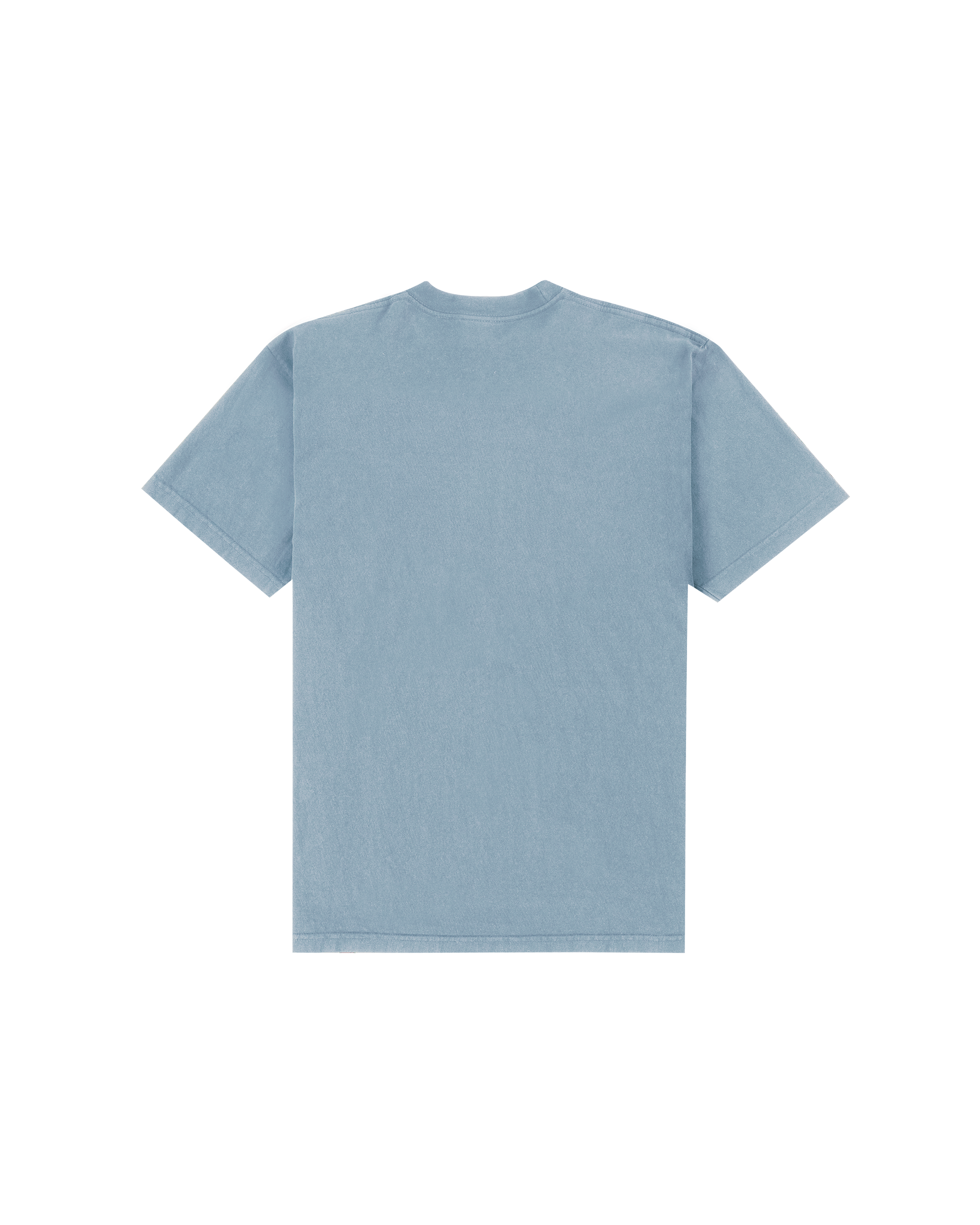 Not Healthy T-shirt - Clear Blue