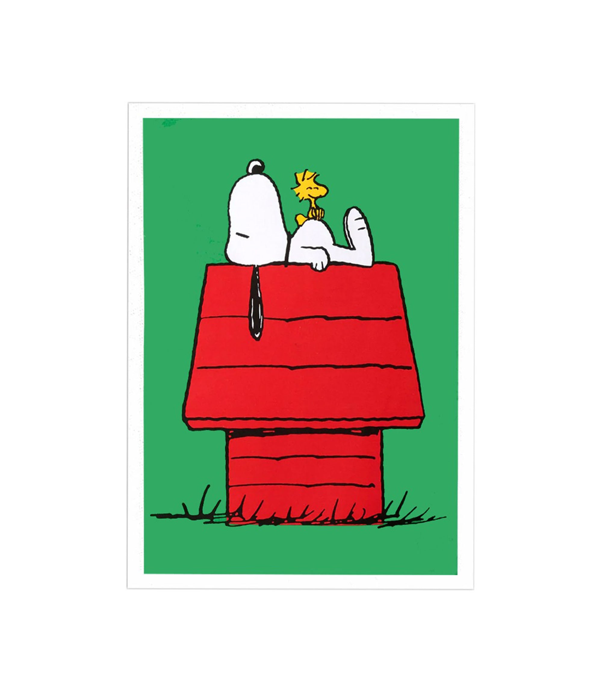 Peanuts Home Tea Towel - Green / Multi