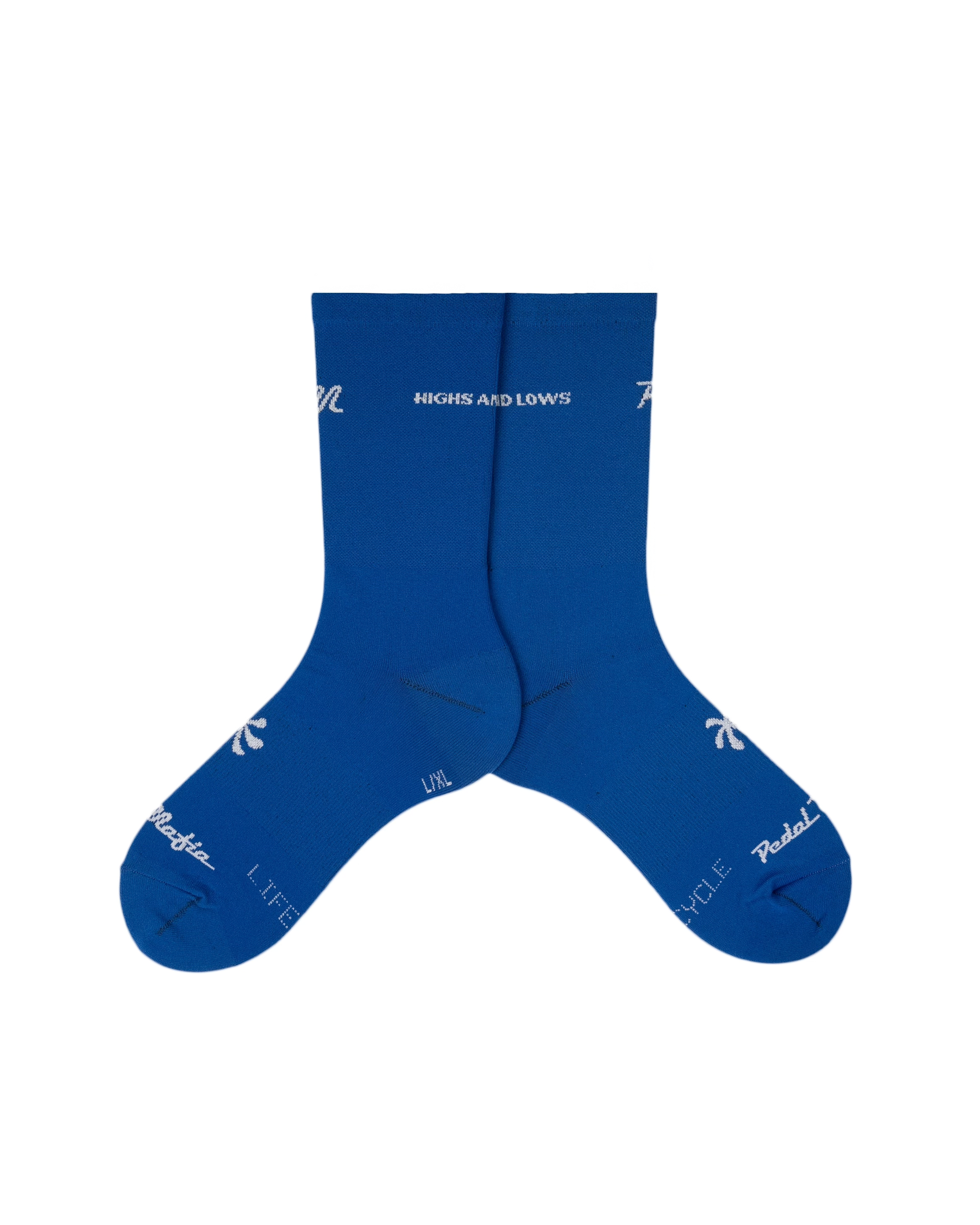 Life Cycle Sock - Blue