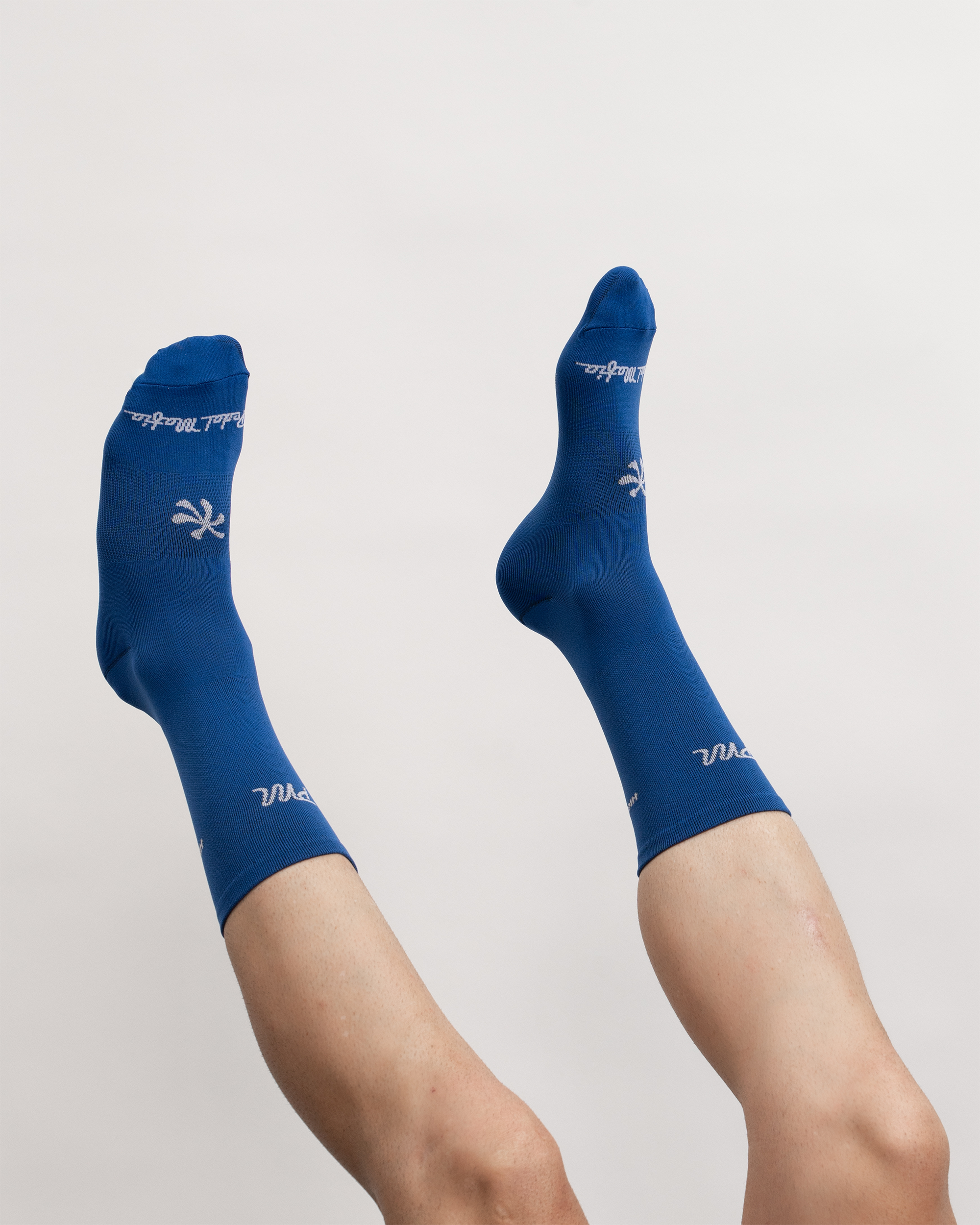 Life Cycle Sock - Blue