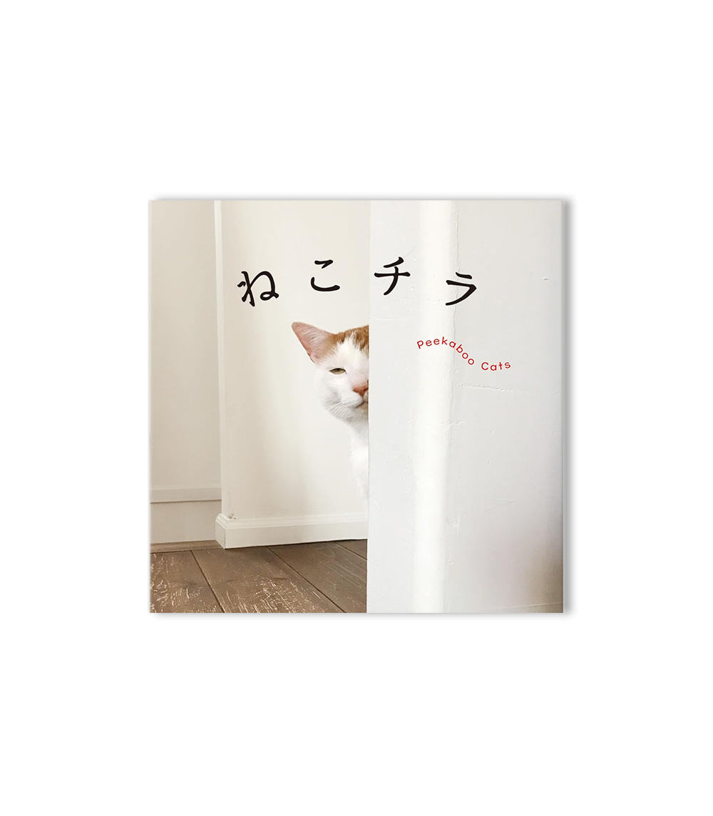 Peekaboo Cats