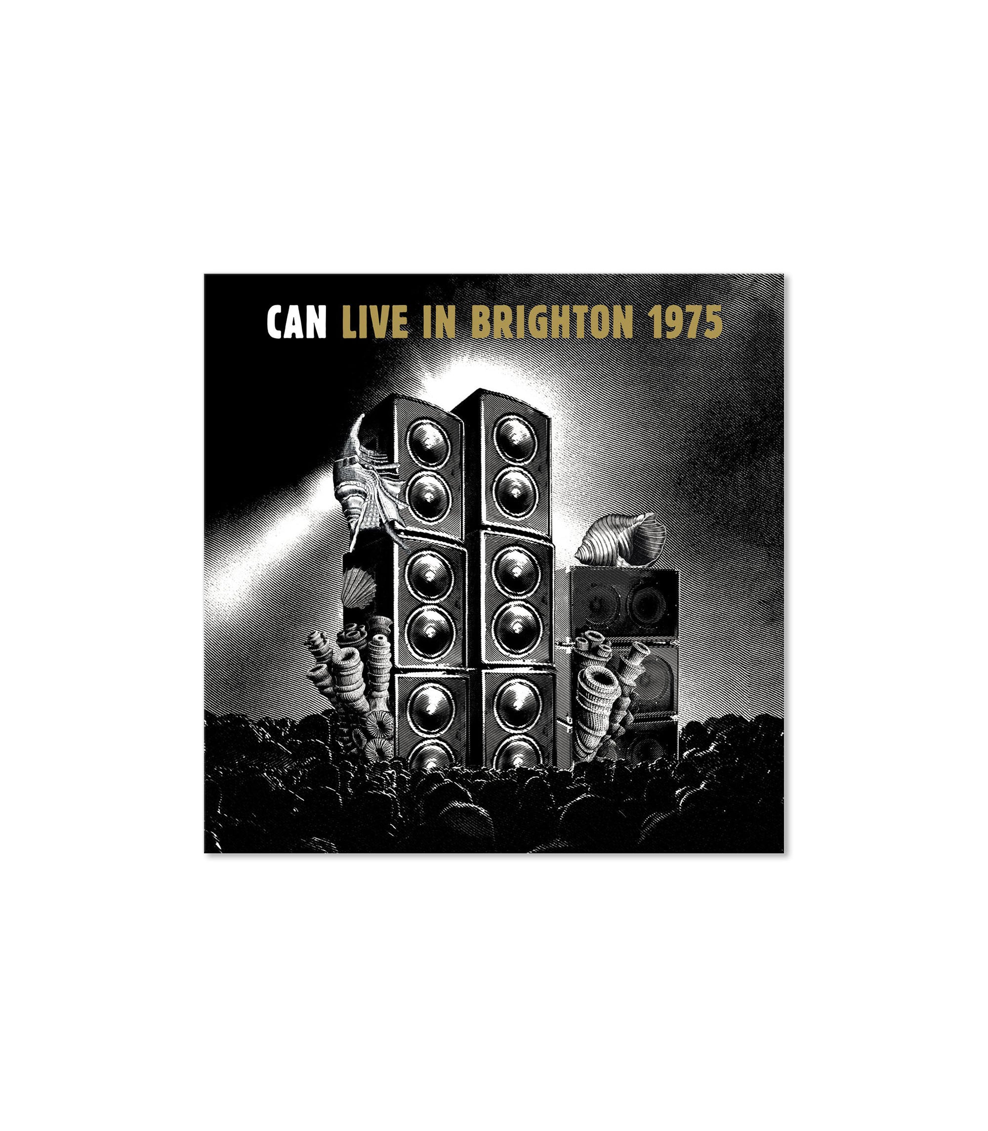 Live In Brighton 1975