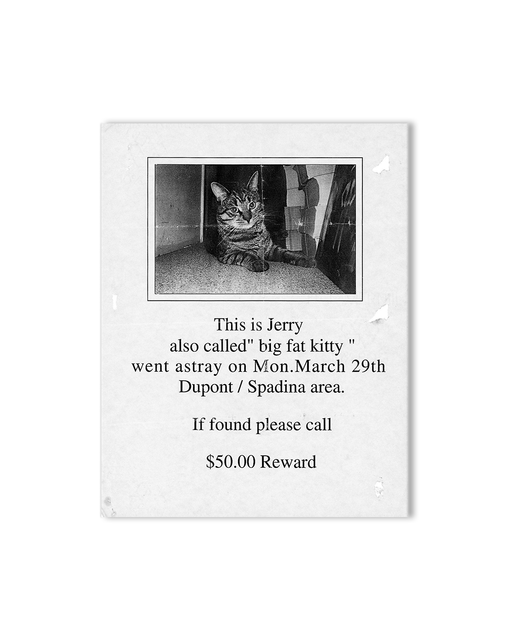Still Missing - The Folk Art of Pet Posters