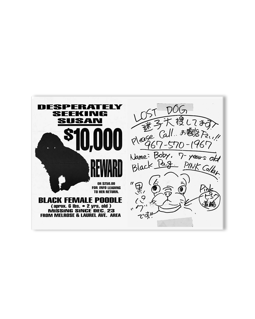 Still Missing - The Folk Art of Pet Posters