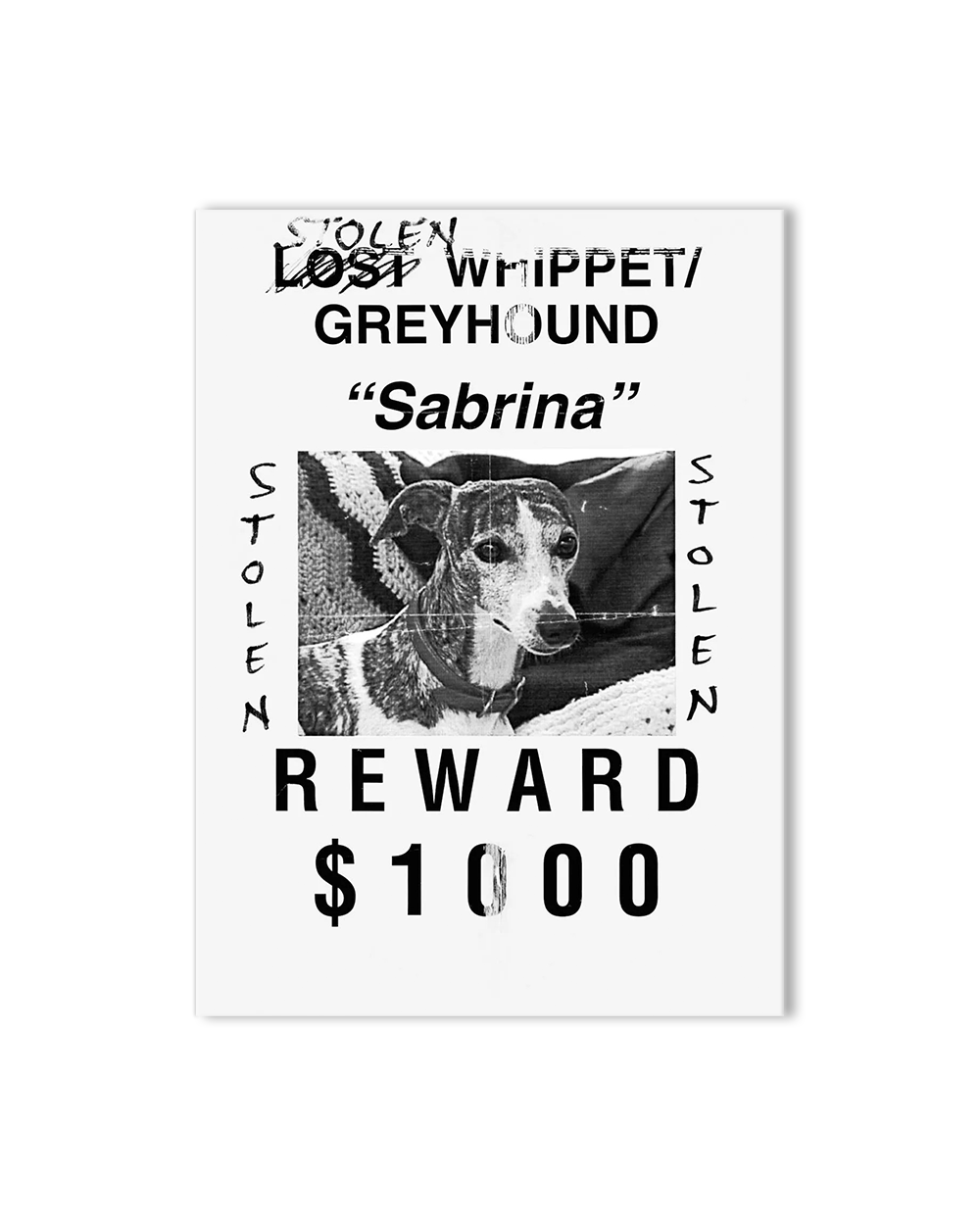 Still Missing - The Folk Art of Pet Posters
