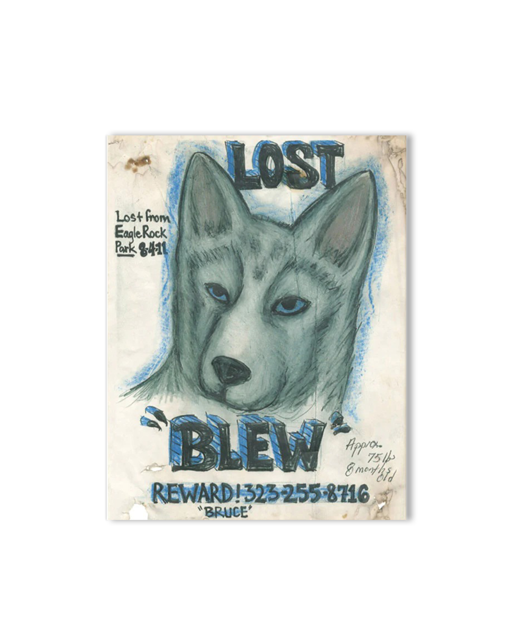 Still Missing - The Folk Art of Pet Posters