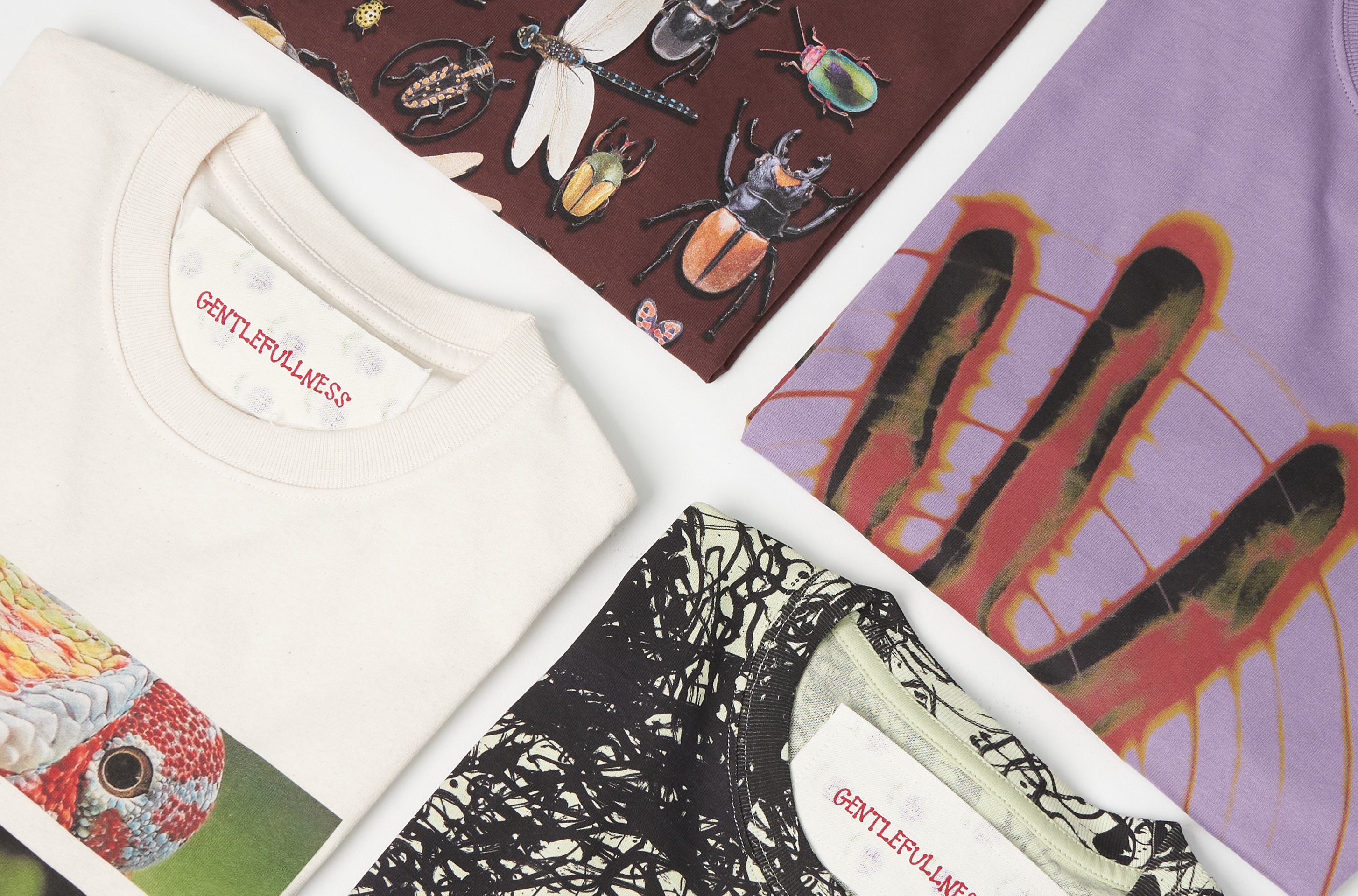 Introducing — Gentle Fullness