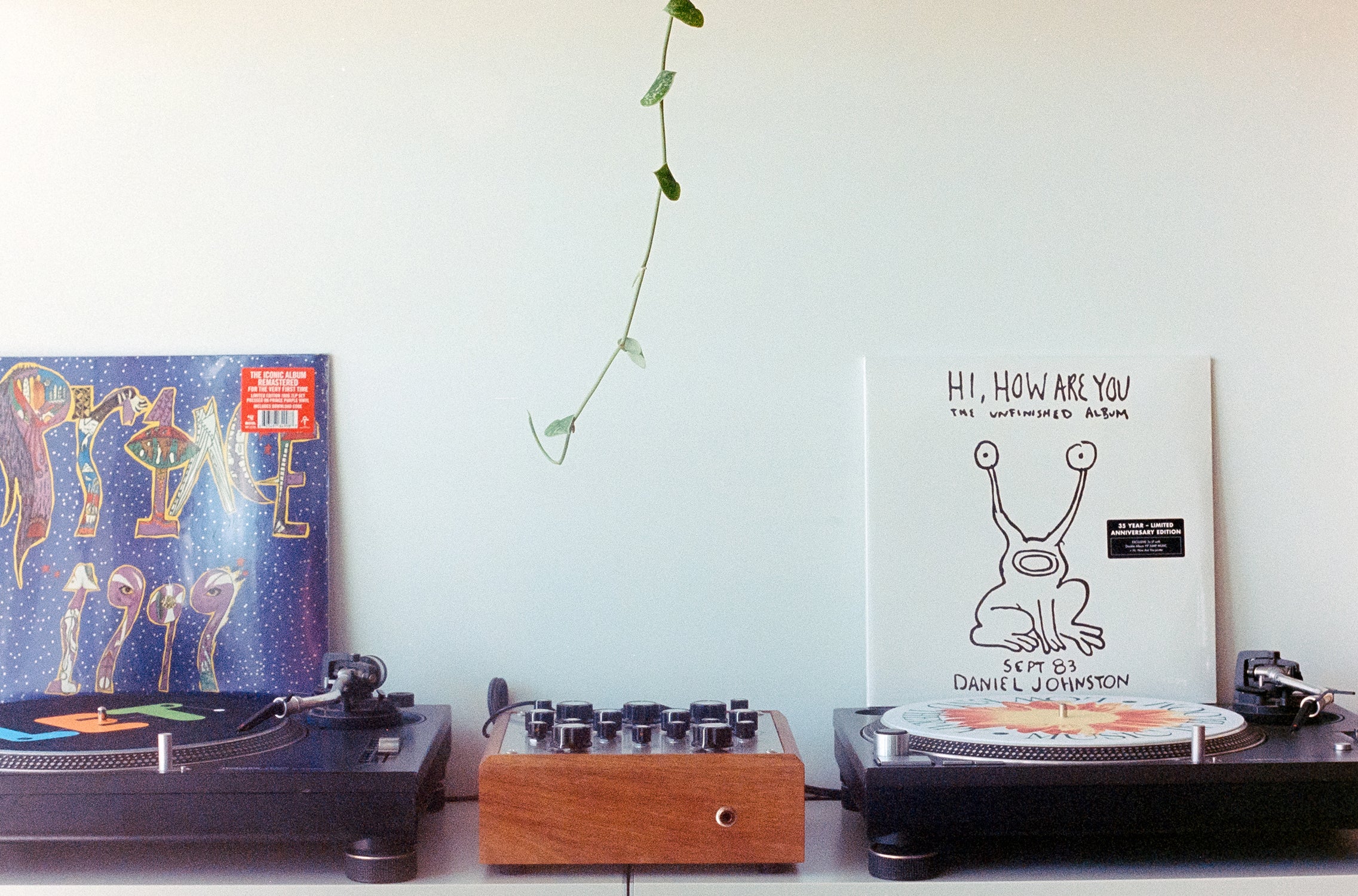 Stay At Home | April Highlights From Low End Therapy