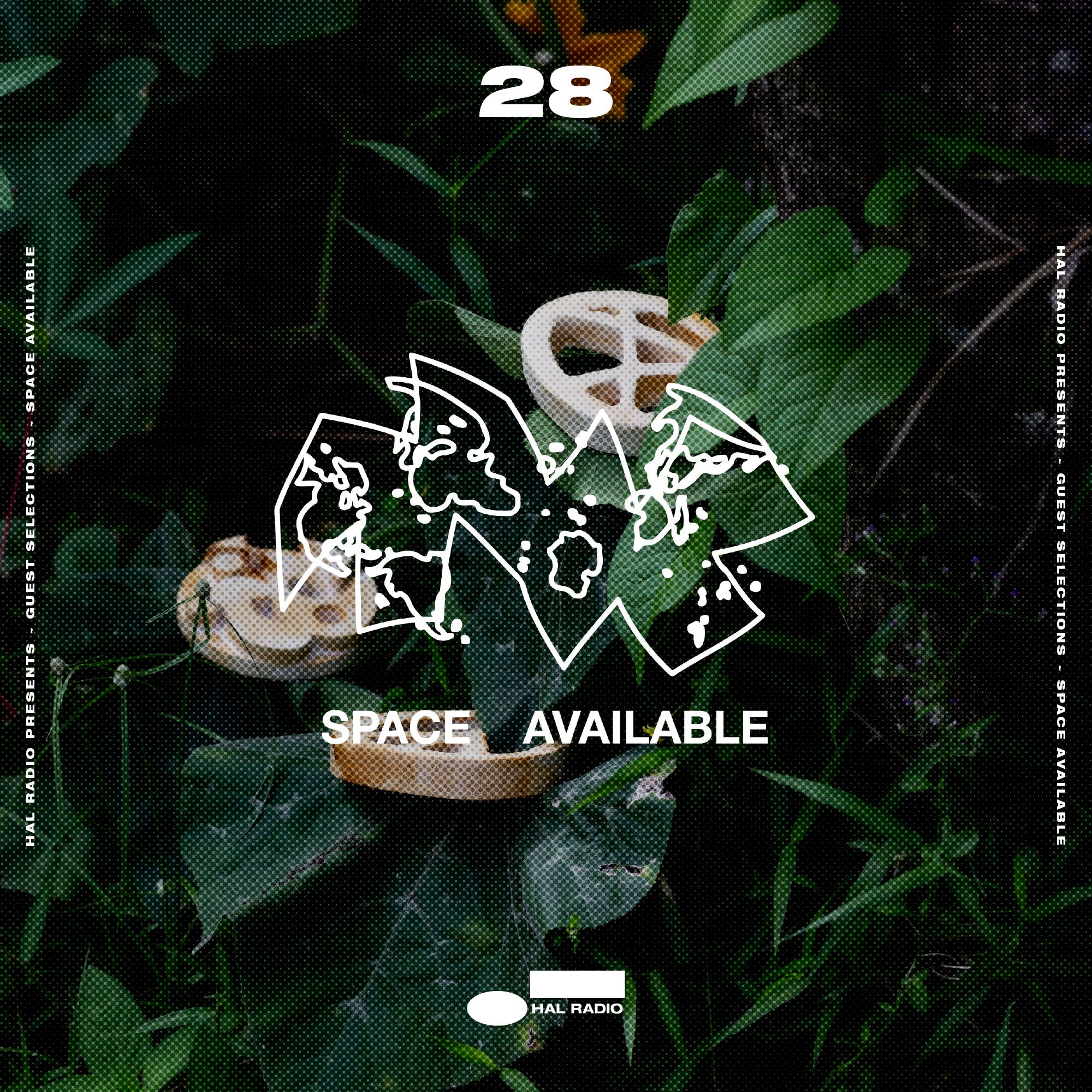 HAL RADIO | EPISODE 28* | SPACE AVAILABLE