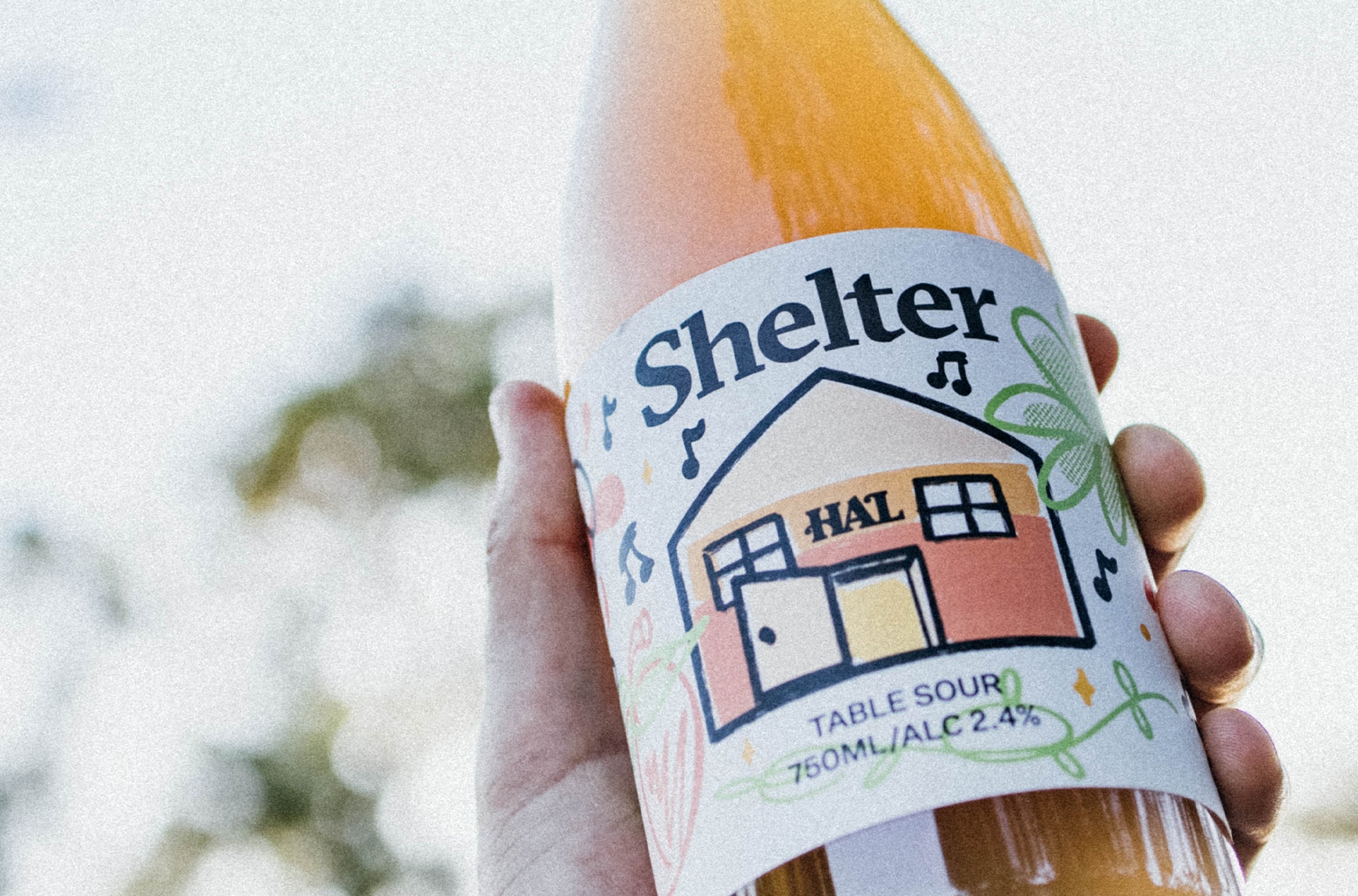 Shelter Brewing Co. x Highs and Lows | Table Sour Collection