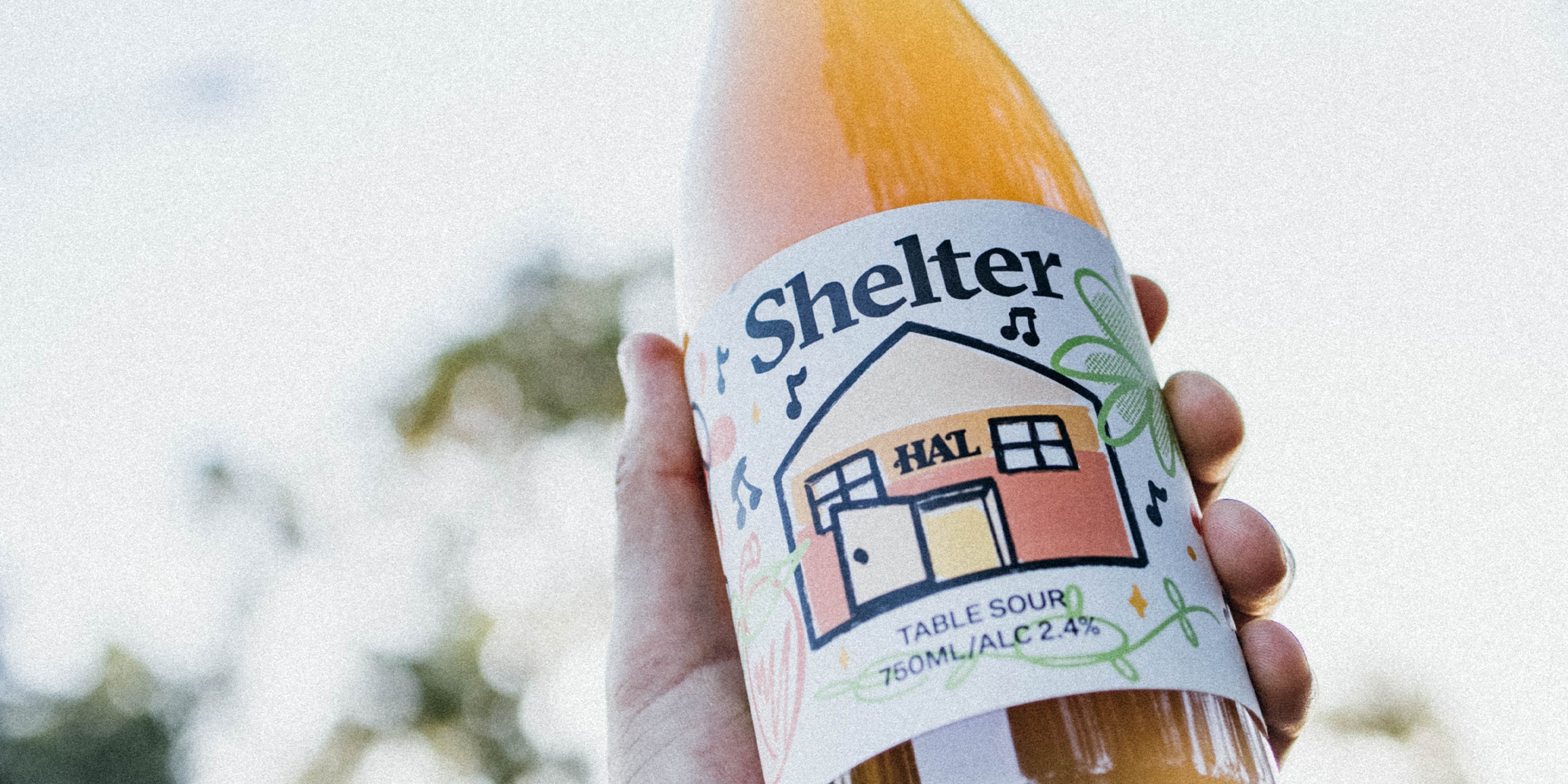Shelter Brewing Co. x Highs and Lows | Table Sour Collection