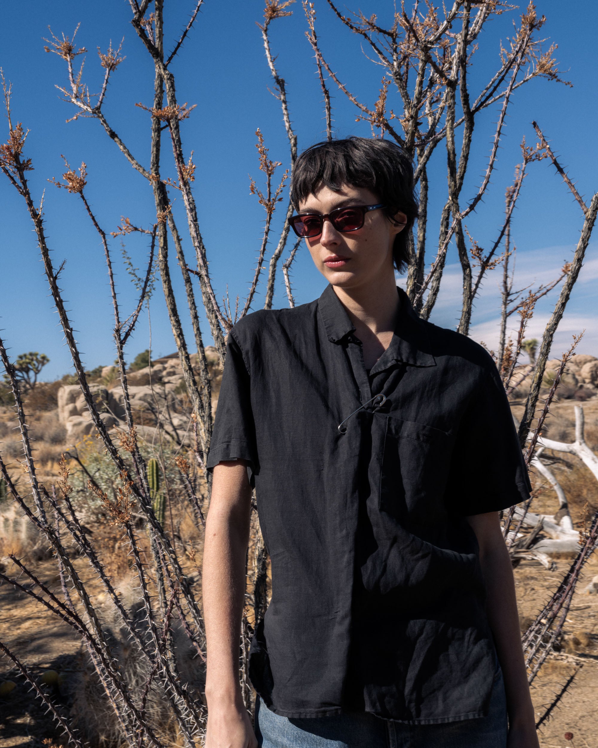 Trivia - Oxblood / Marooon