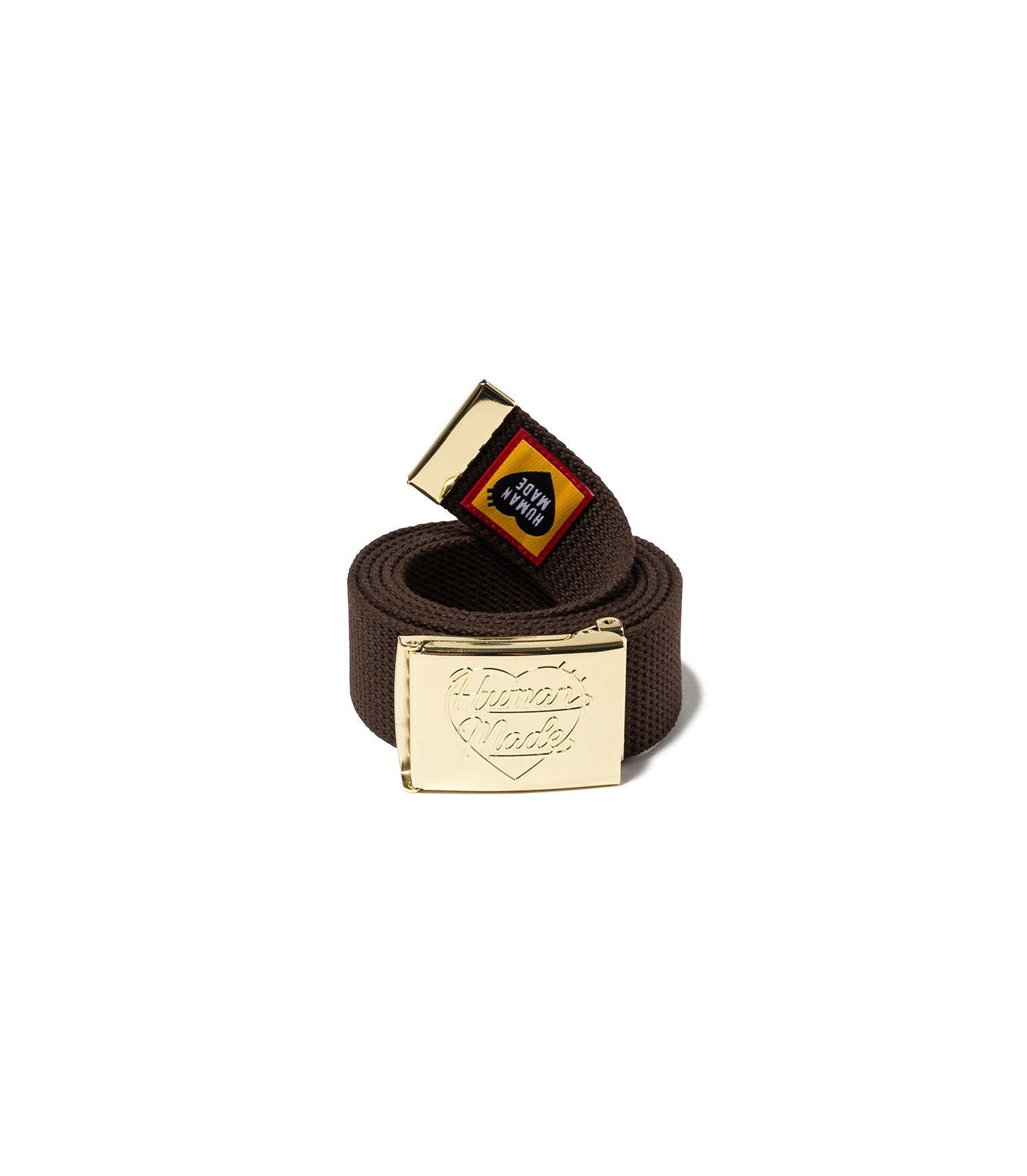 Web Belt - Brown