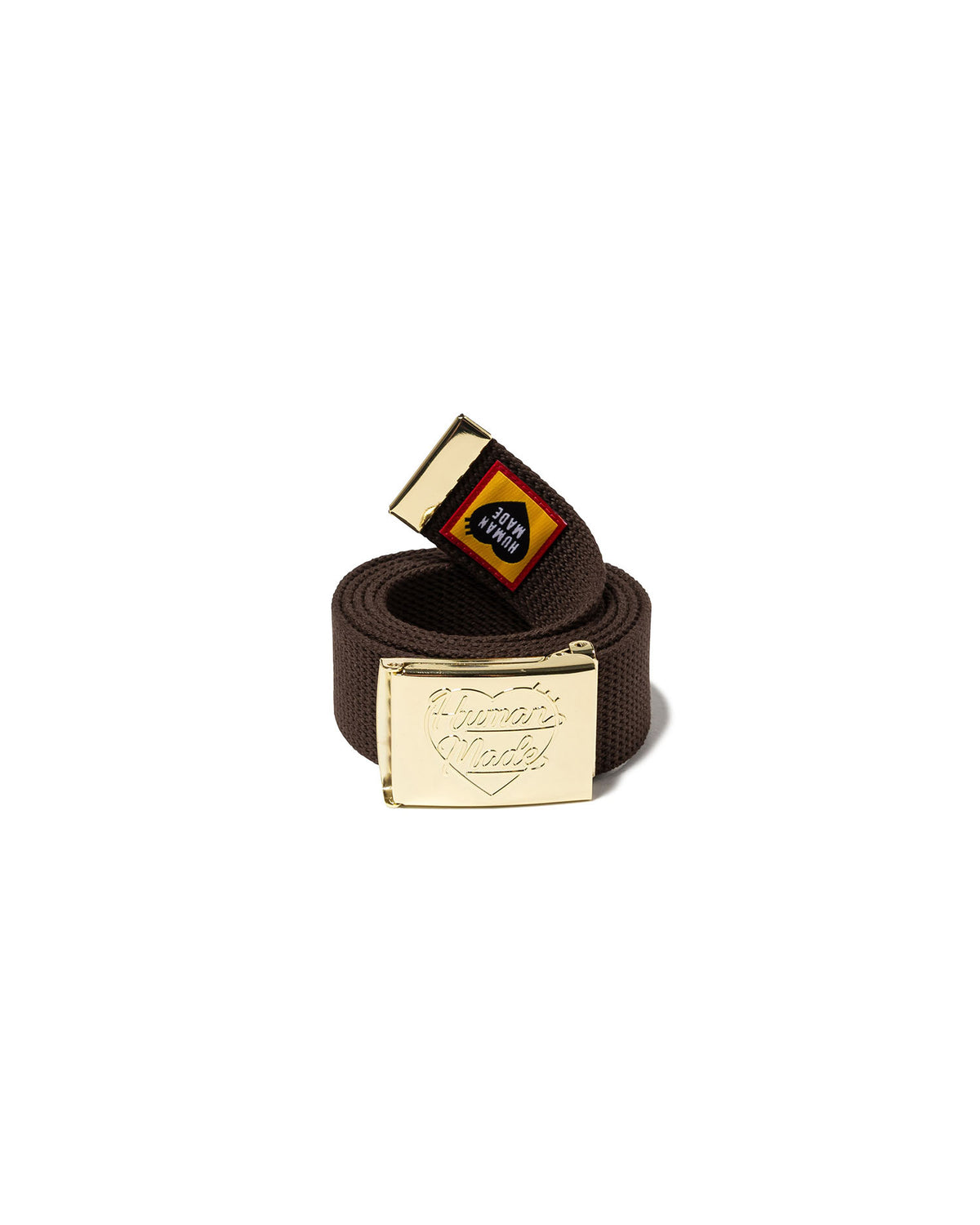 Web Belt - Brown