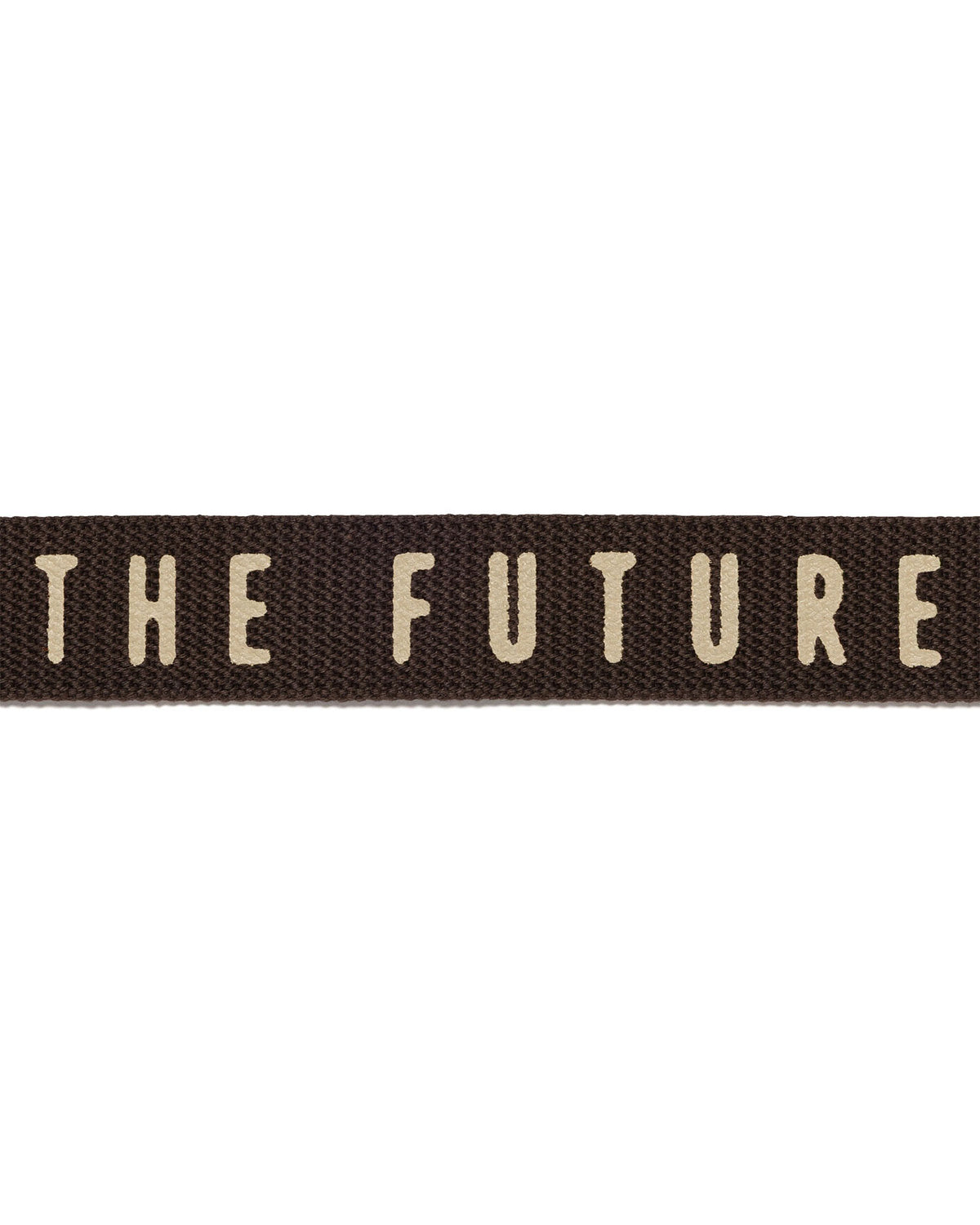 Web Belt - Brown