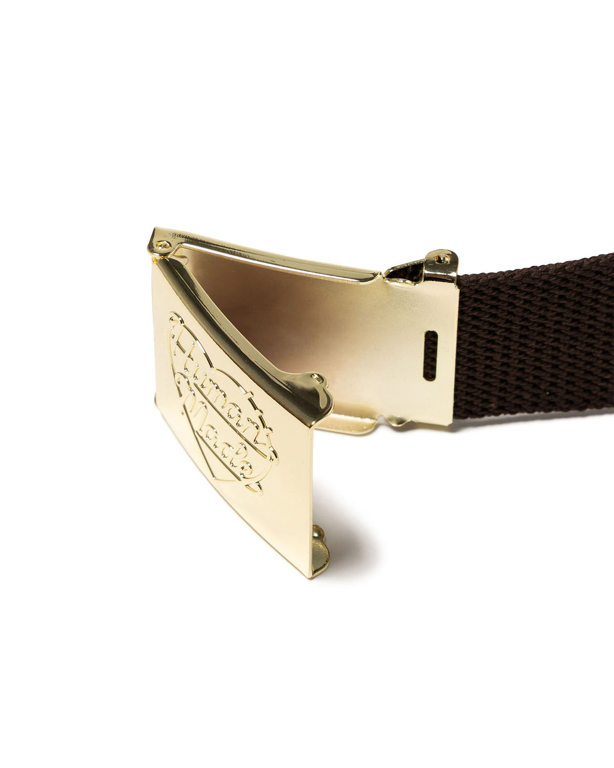 Web Belt - Brown