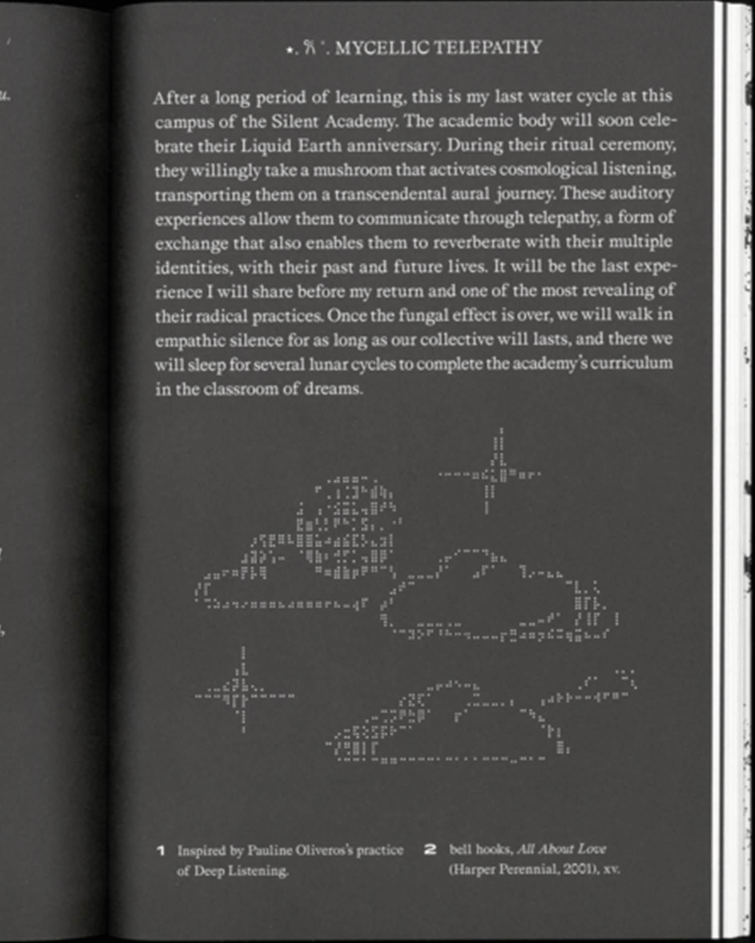 Ecotones - Investigating Sounds and Territories