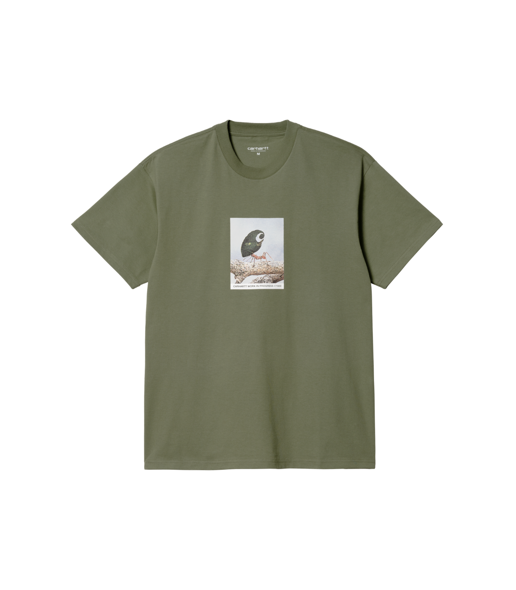 Antleaf T-Shirt - Dollar Green