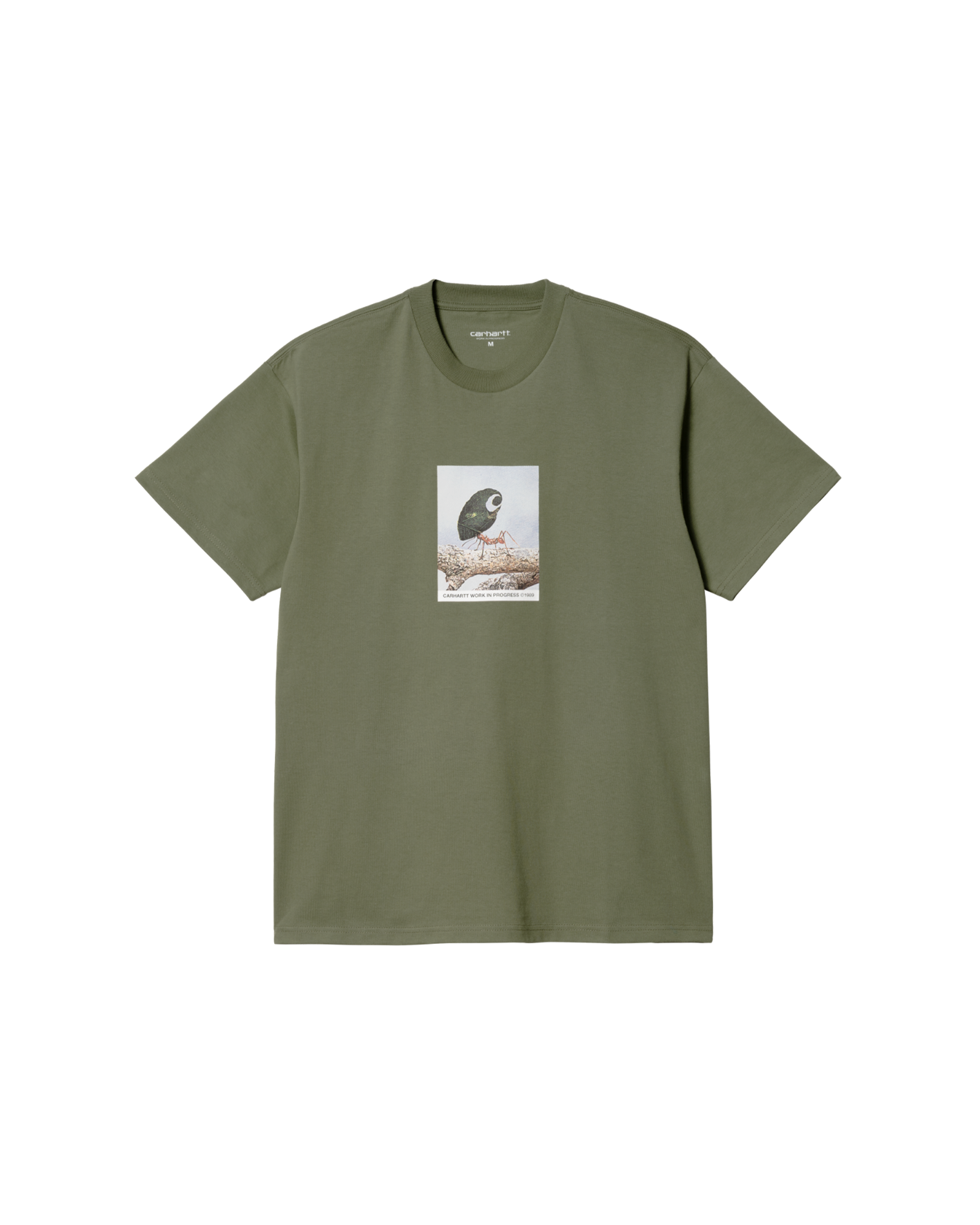 Antleaf T-Shirt - Dollar Green
