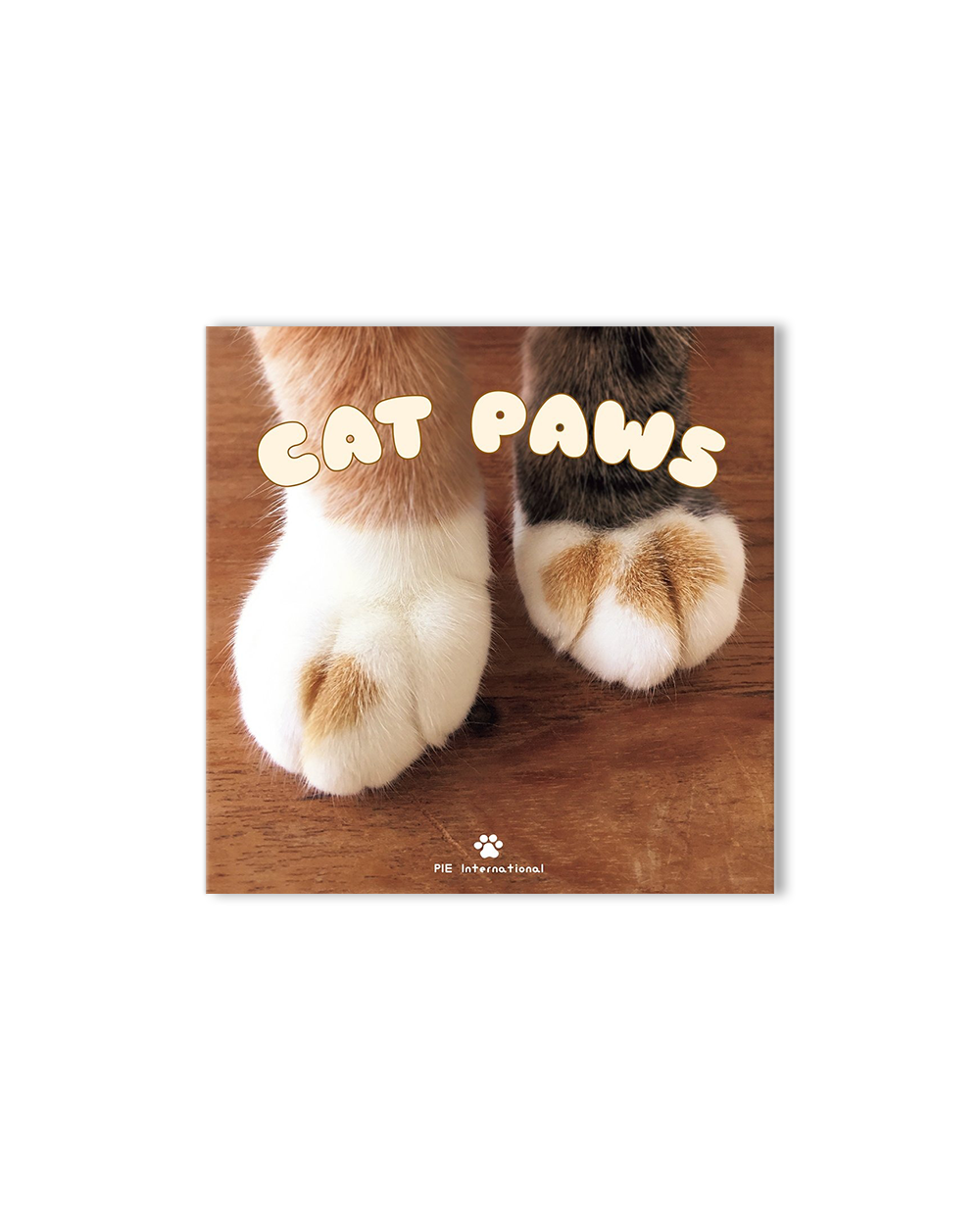 Cats Hands (English Edition)