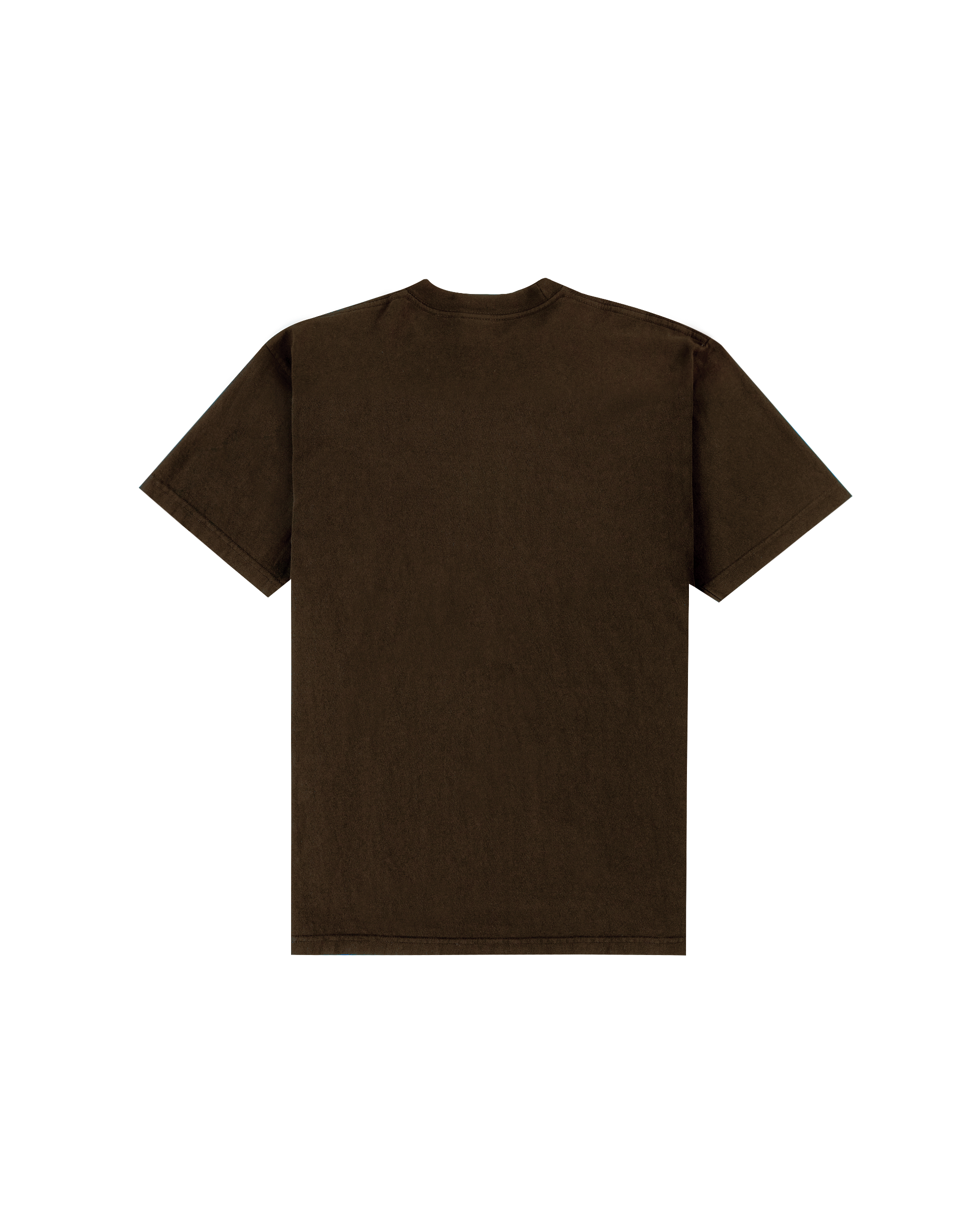 Deity T-shirt - Chocolate