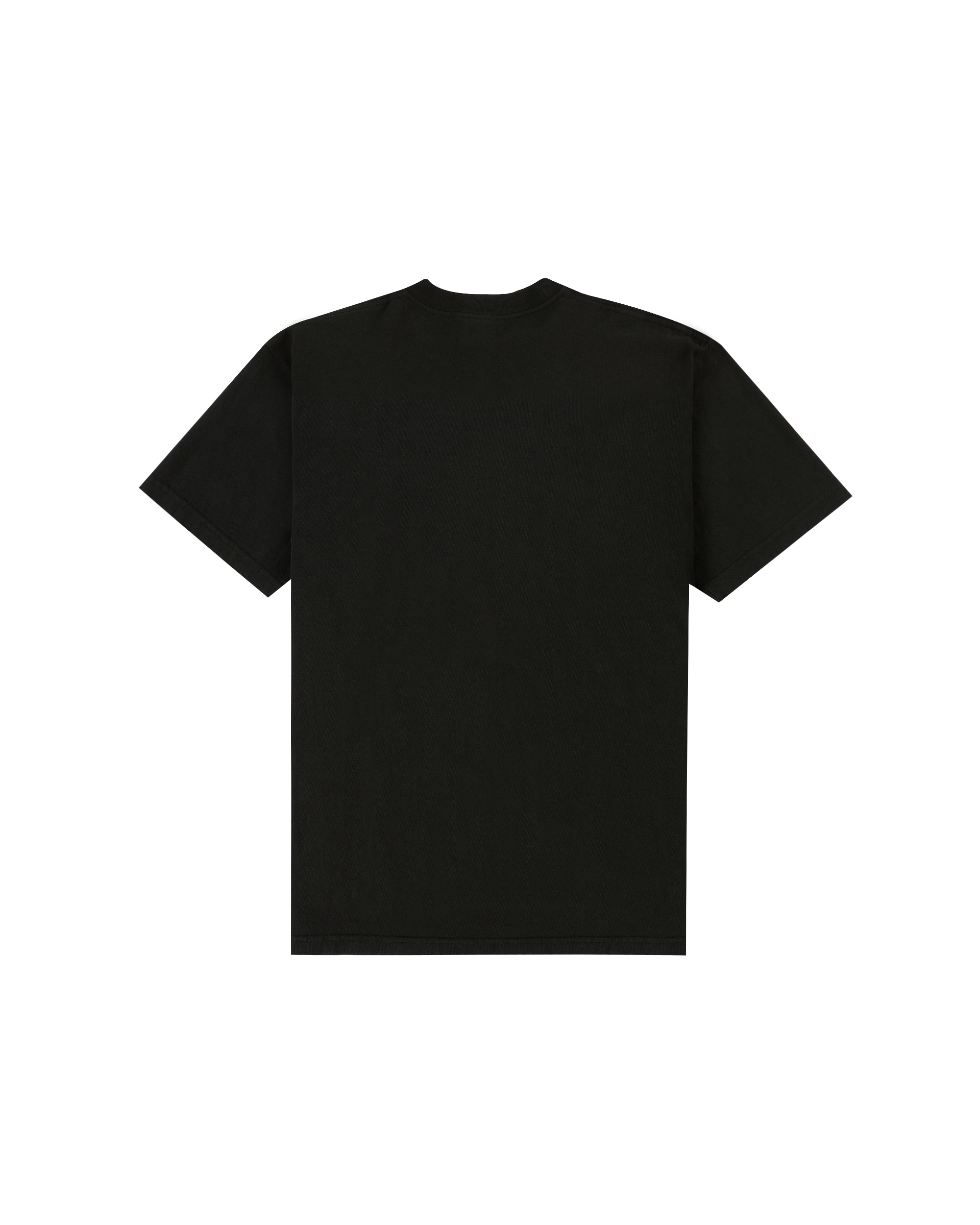 Magnetic Rose T-shirt - Black