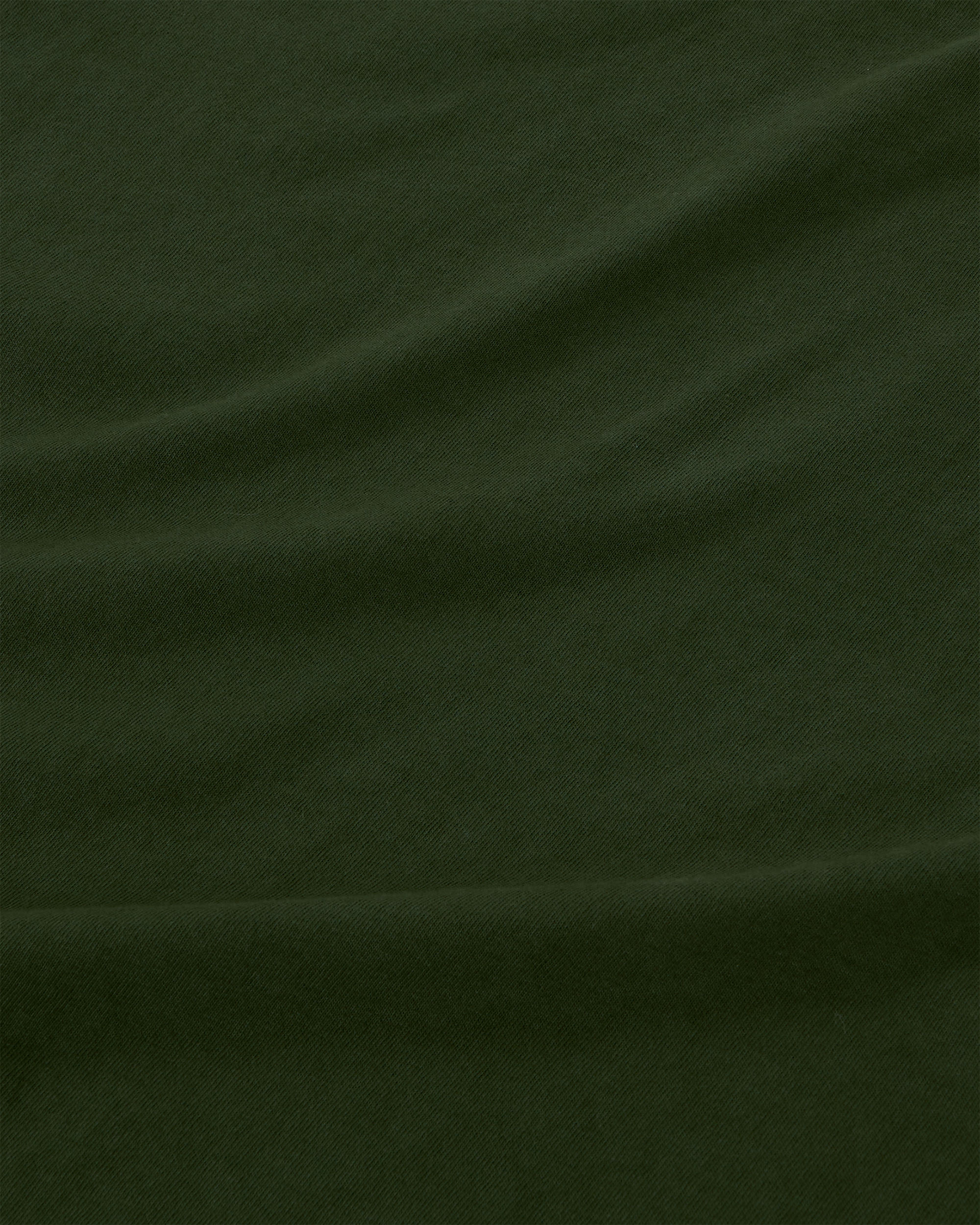Cult Classic Logo T-shirt - Ivy Green
