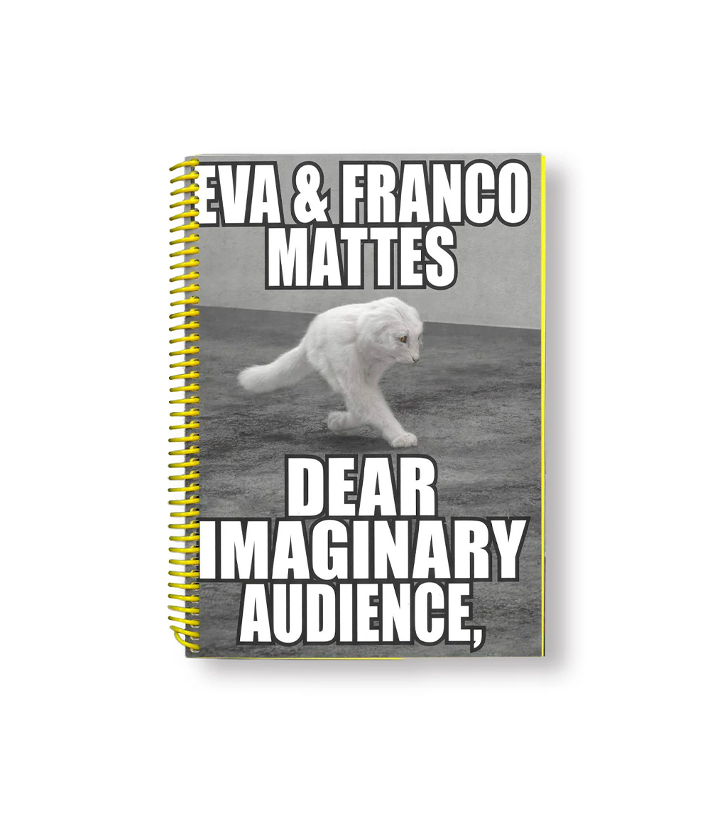 Dear Imaginary Audience