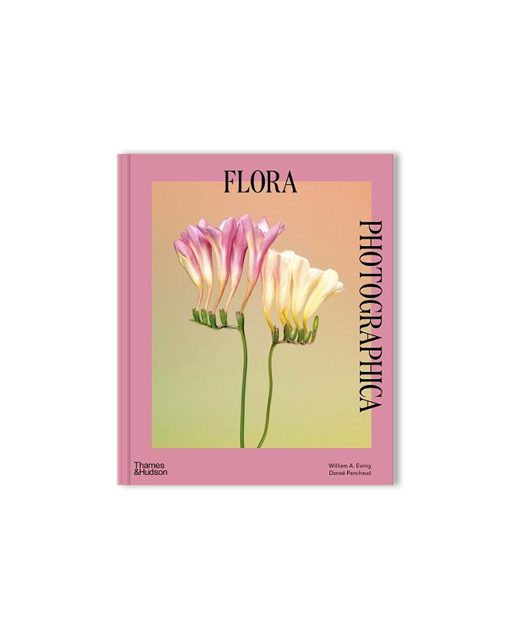 Flora Photographica