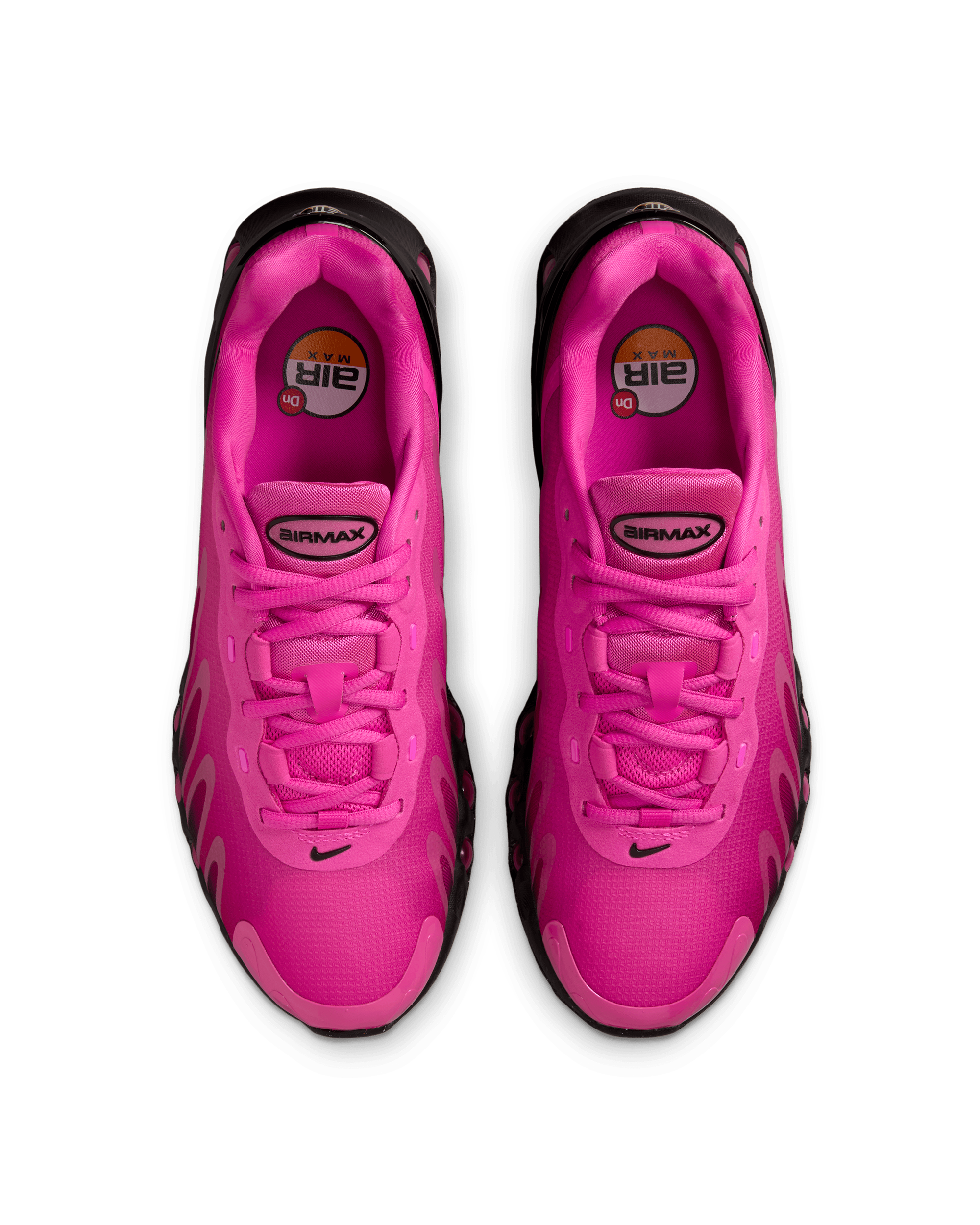 Womens Air Max DN8 - Laser Fuchsia / Sport Fuchsia / Black