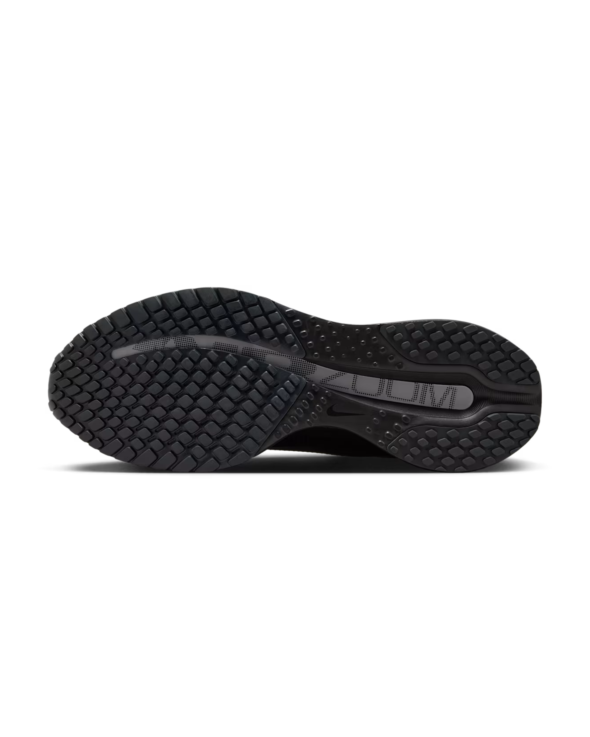 Pegasus Premium SP - Black / Metallic Silver / White