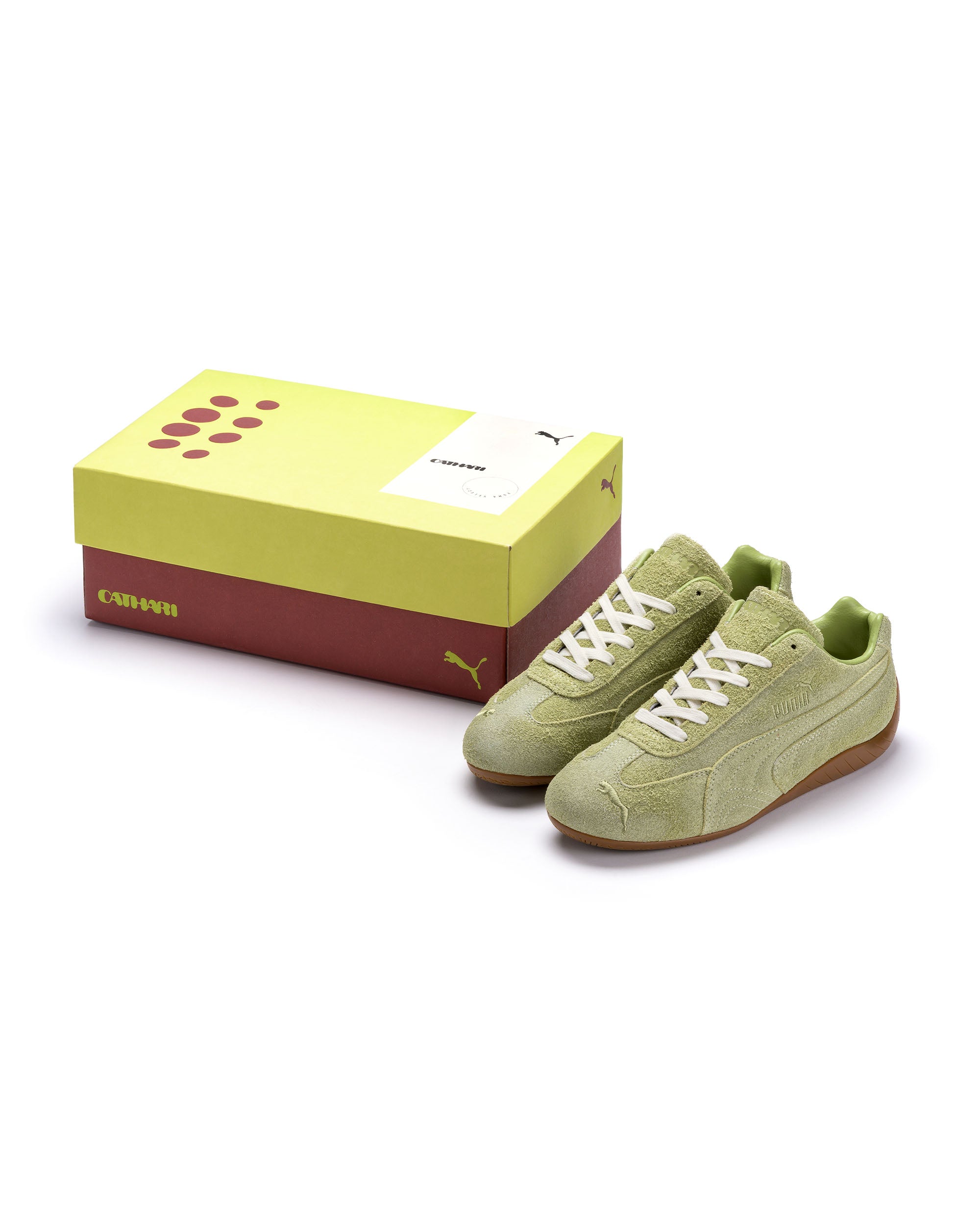 Danielle Cathari Speedcat Washed Sneaker - Pistachio