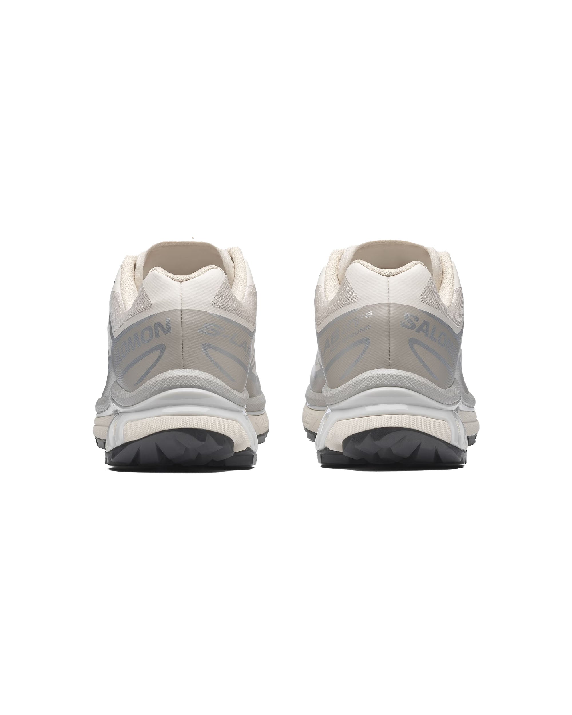 XT-6 - Rainy Day / Paloma / Silver