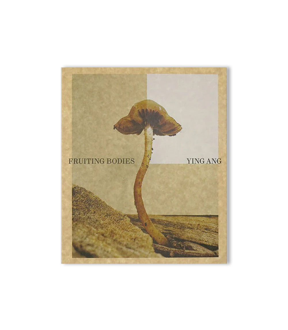 Ying Ang - Fruiting Bodies
