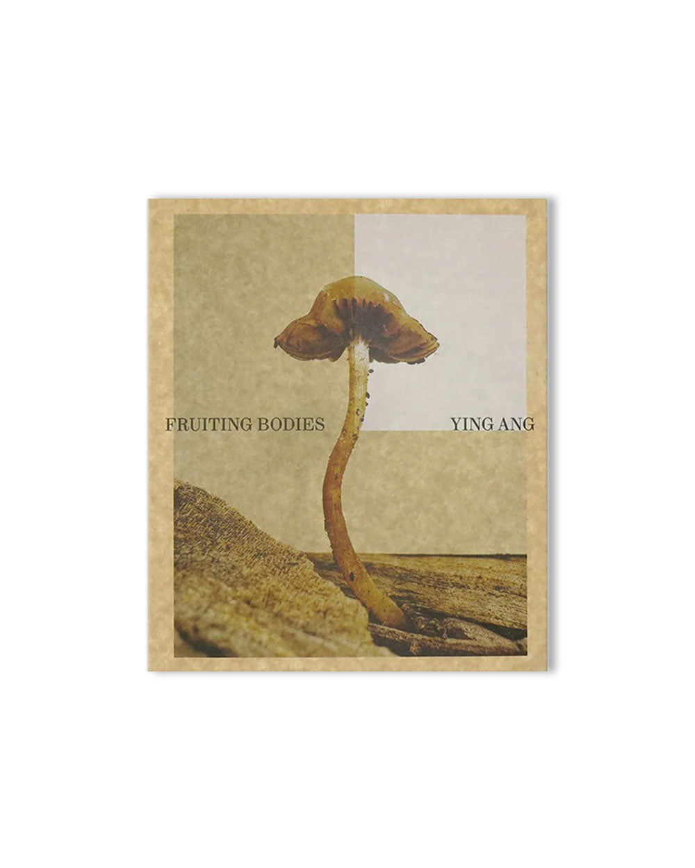 Ying Ang - Fruiting Bodies