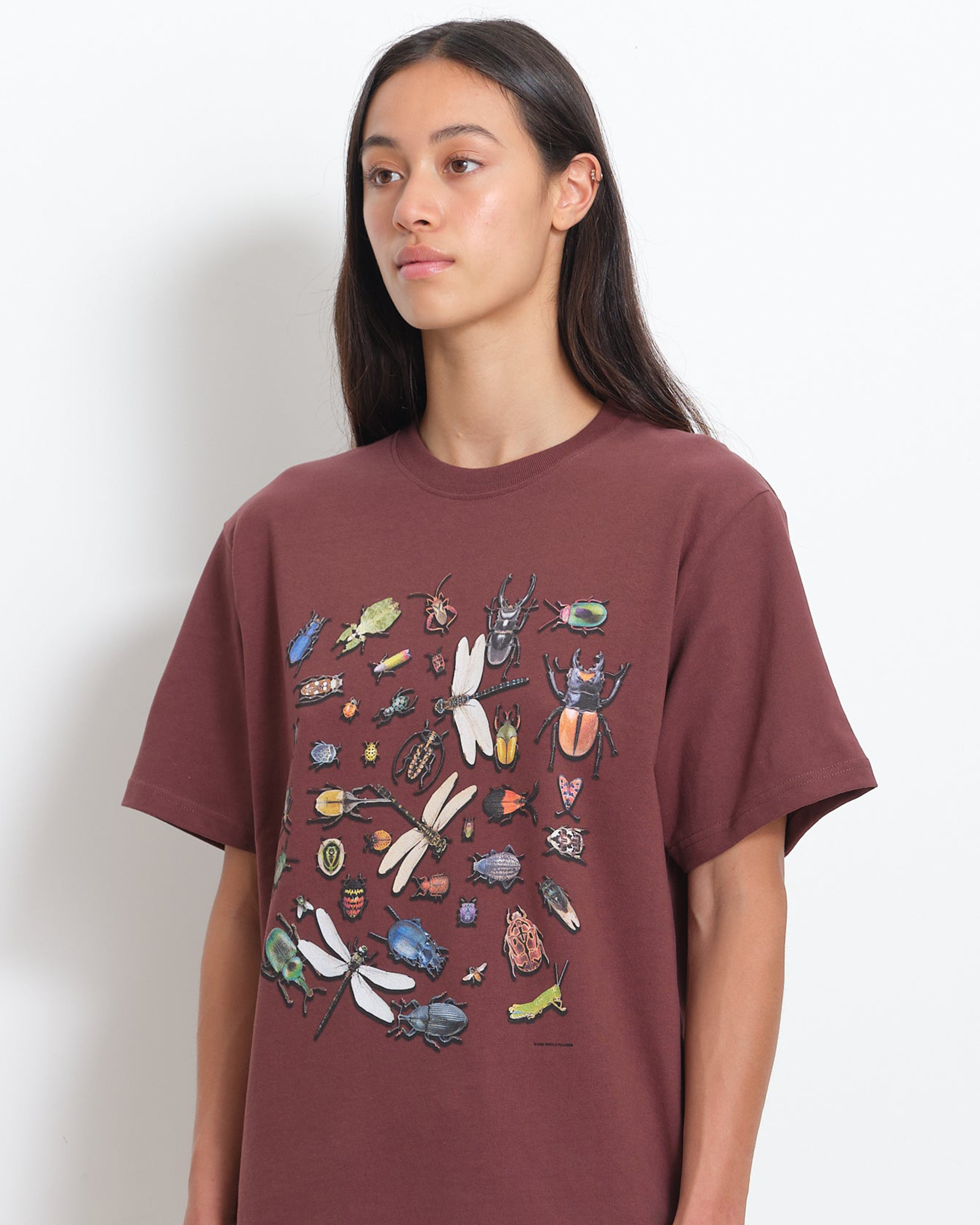 Bugs SS T-shirt - Chocolate