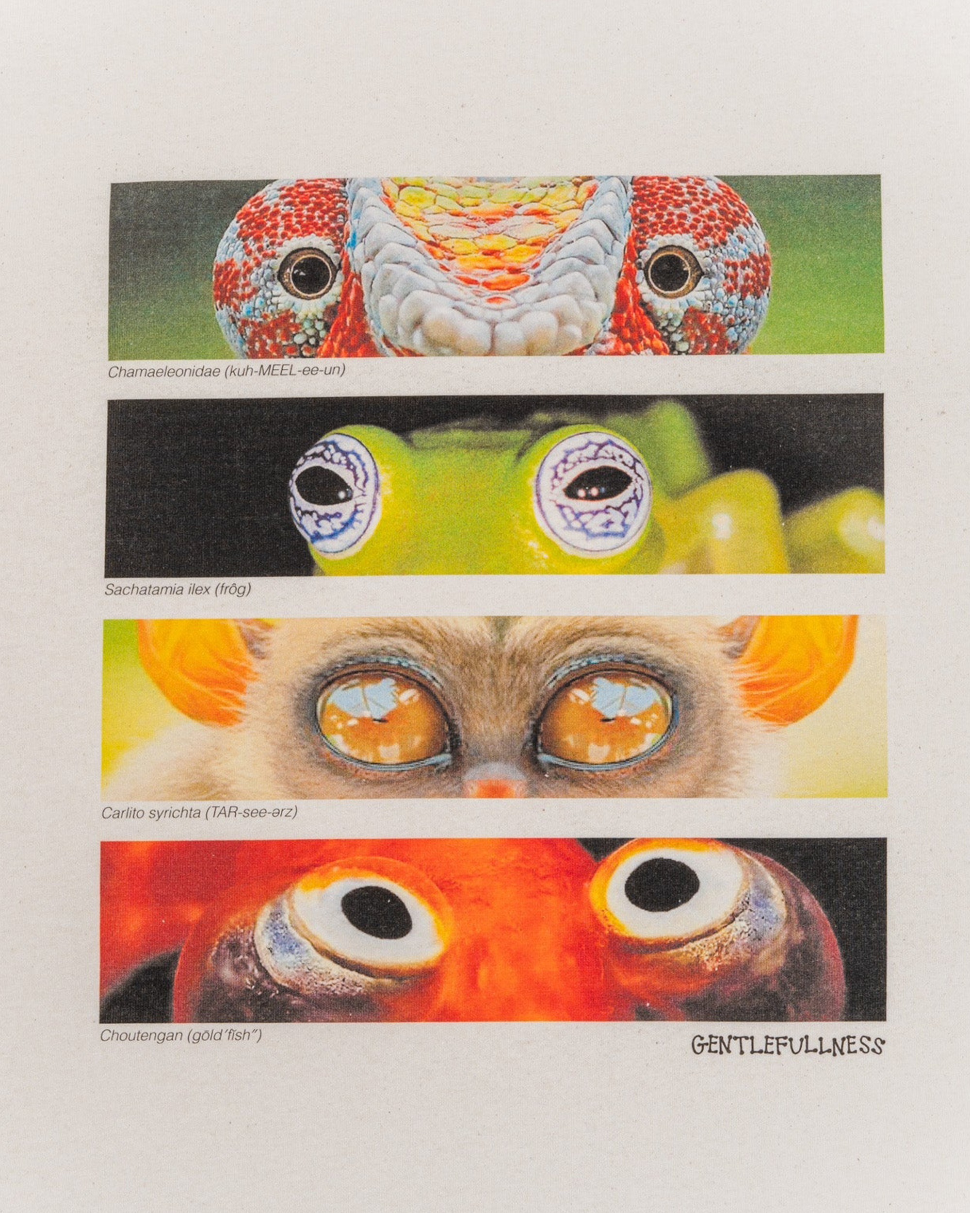 Animal Eyes SS T-shirt - Oatmeal