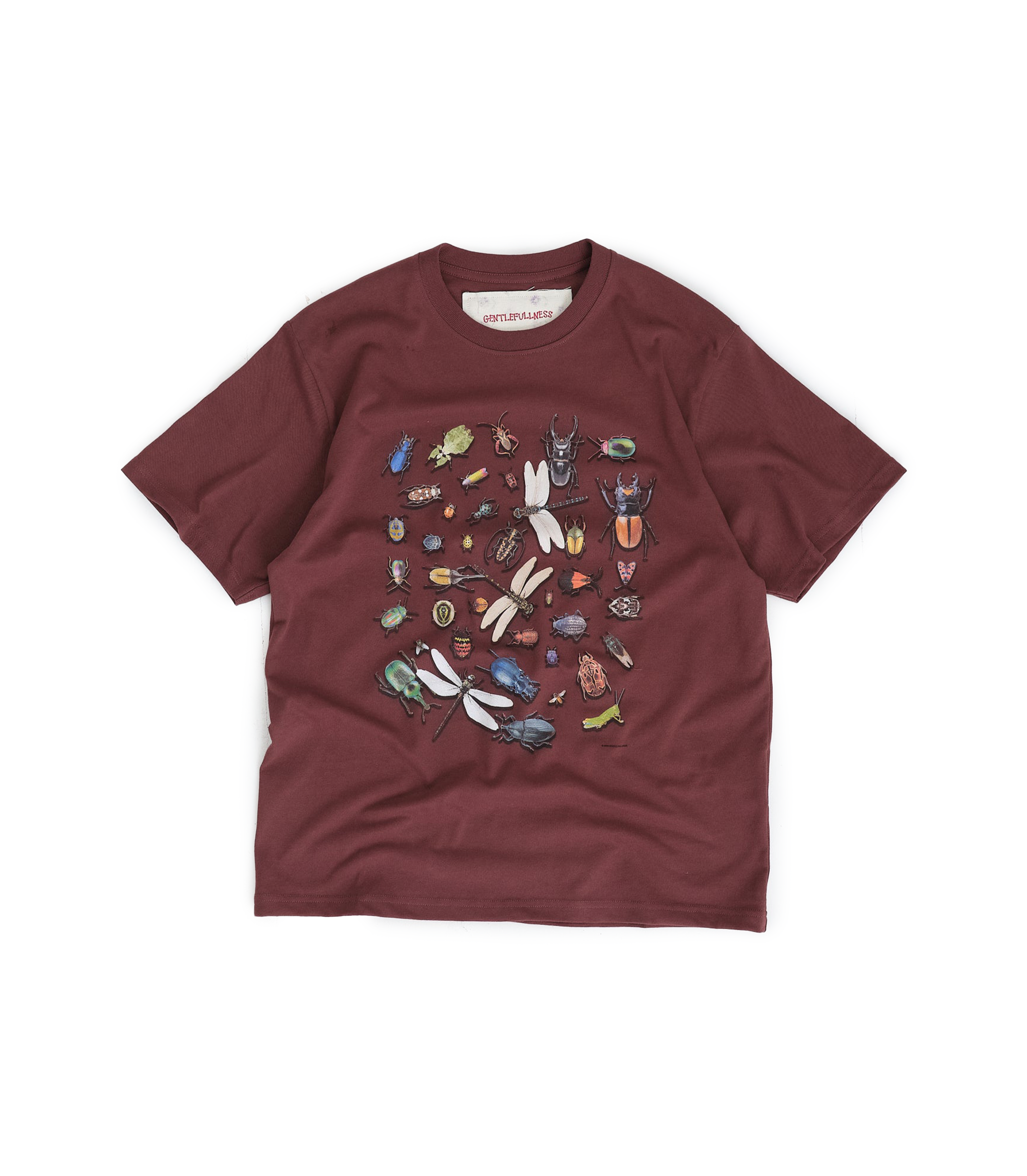 Bugs SS T-shirt - Chocolate