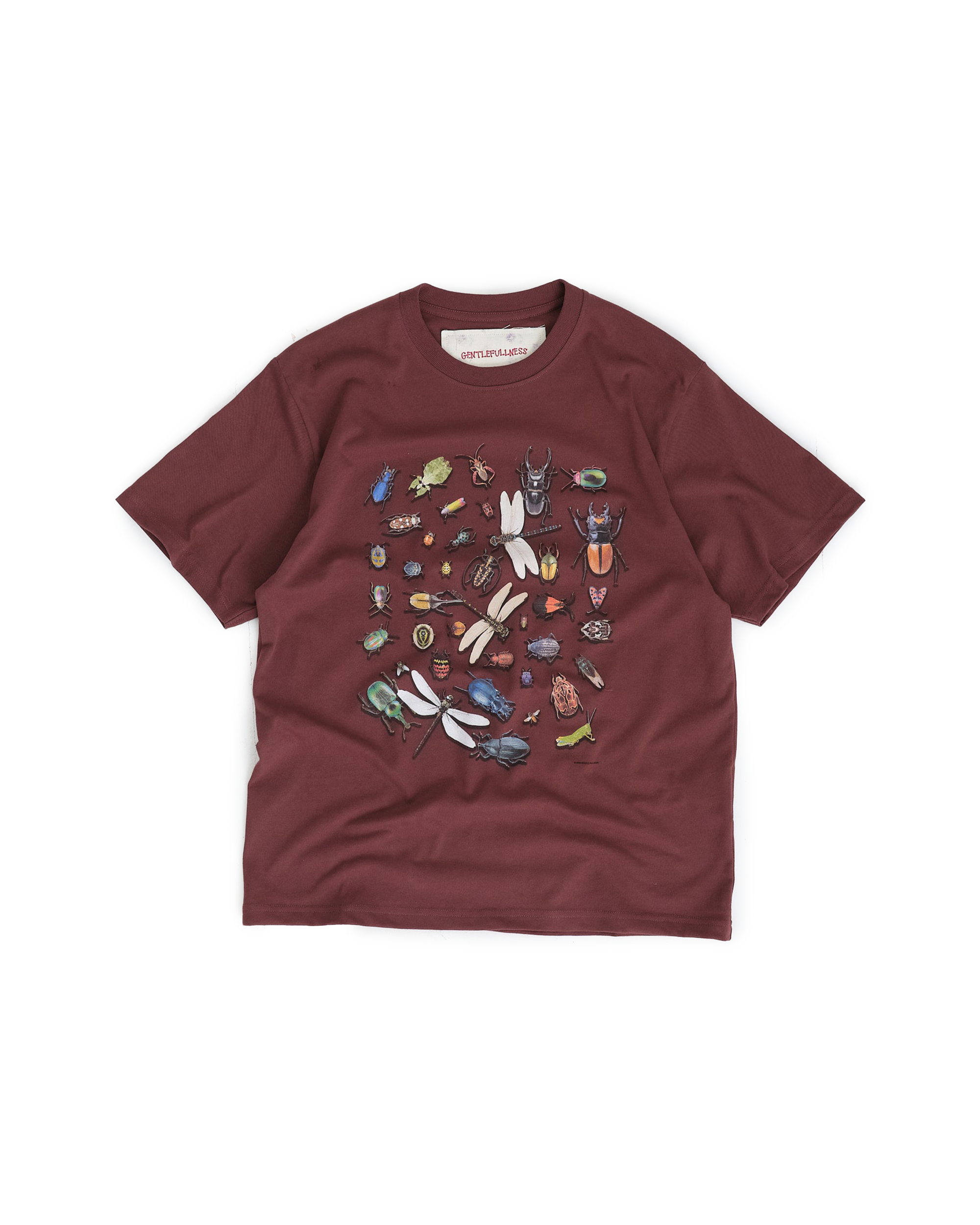 Bugs SS T-shirt - Chocolate