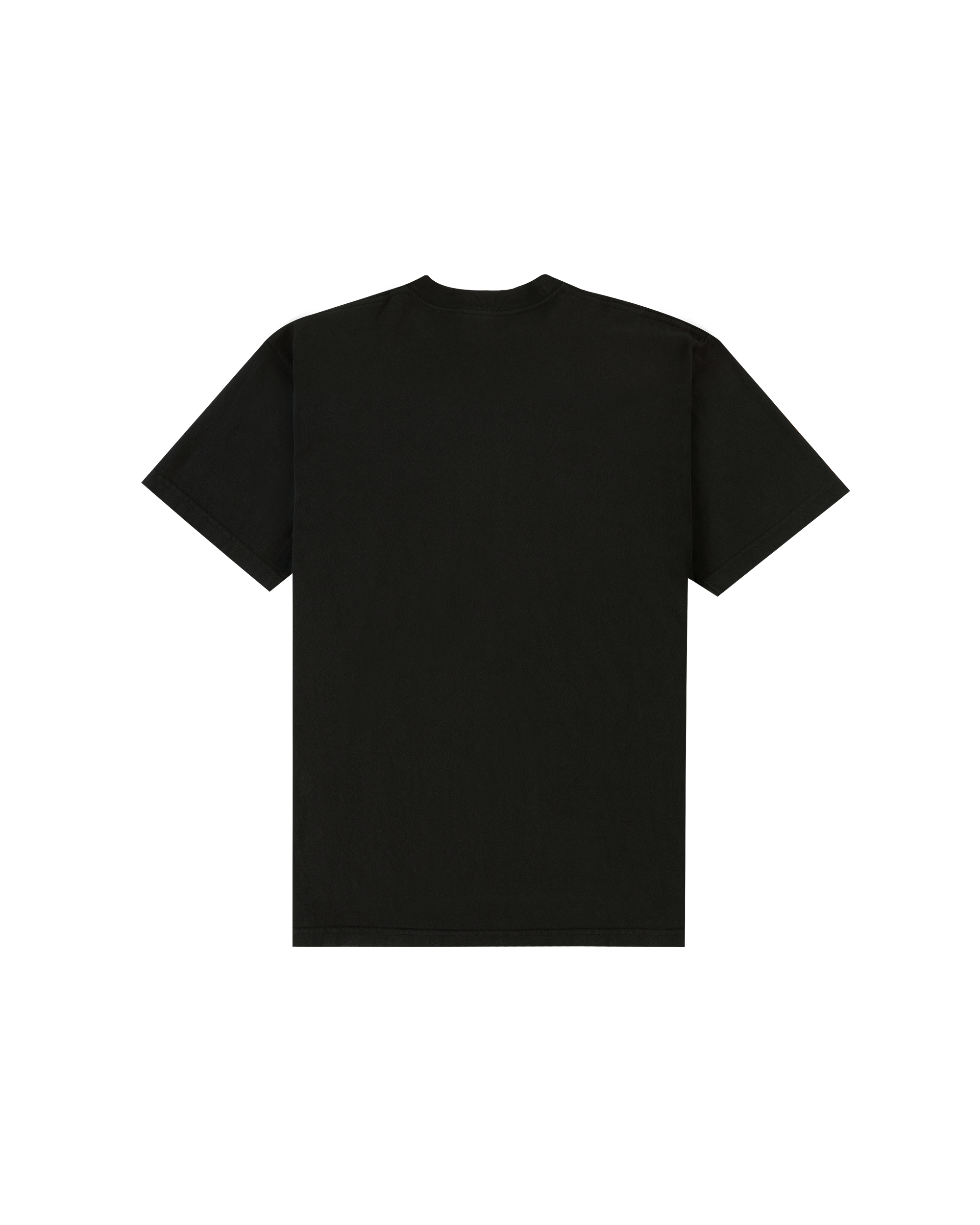 Studies of Life Psycle T-shirt - Black