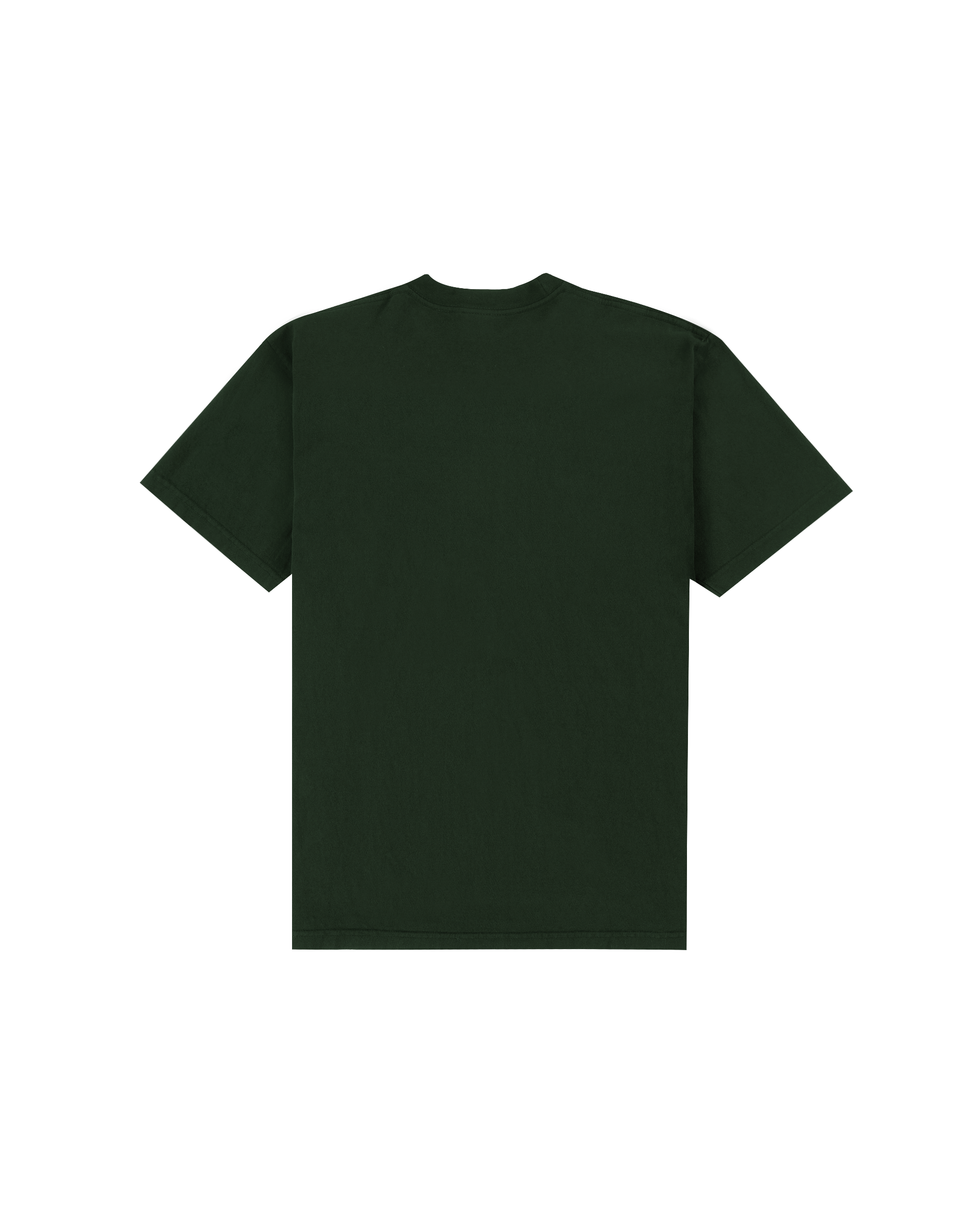 HAL Sports Logo T-shirt - Ivy Green
