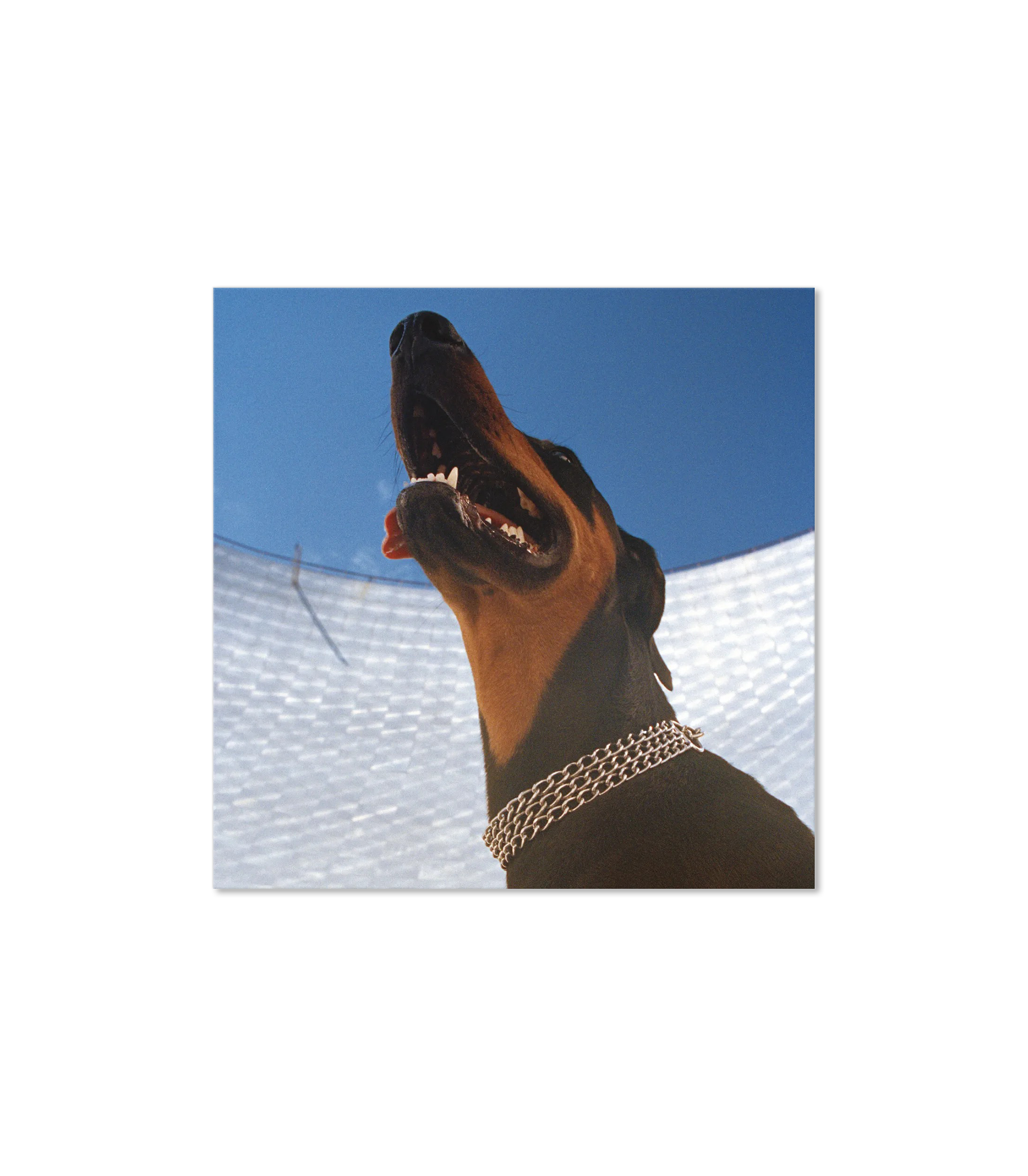 Good Lies (Clear Vinyl)