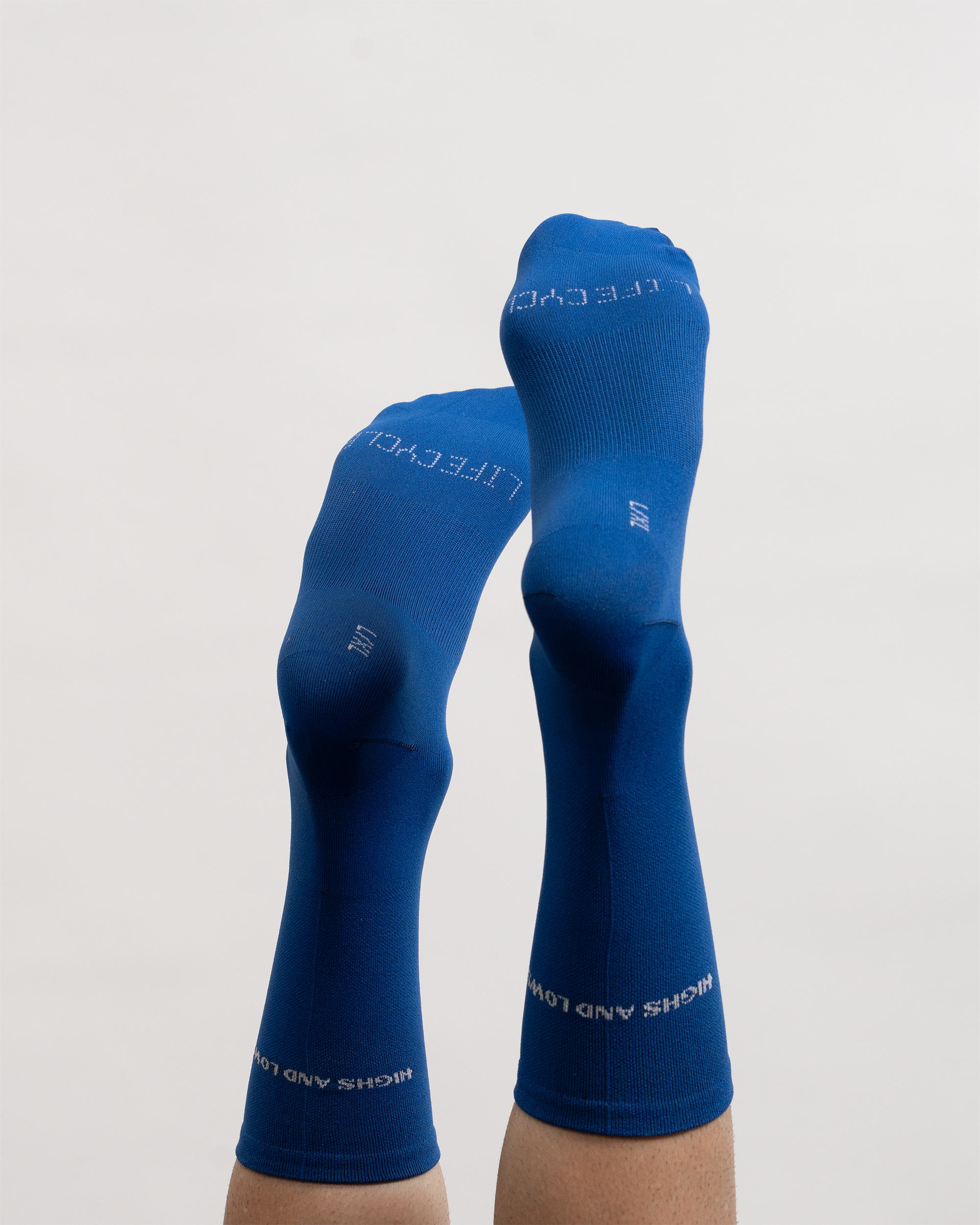 Life Cycle Sock - Blue