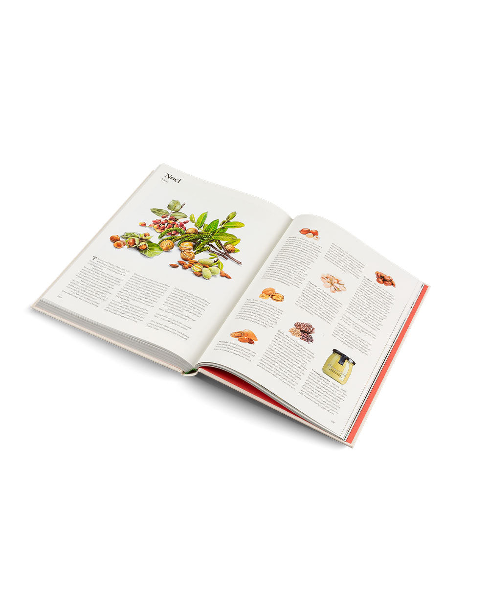 Originale - Italian Cooking