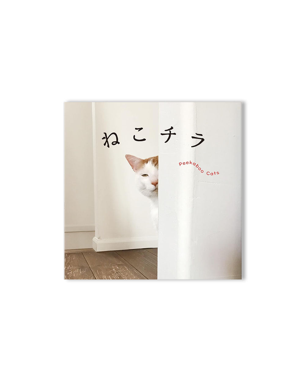 Peekaboo Cats