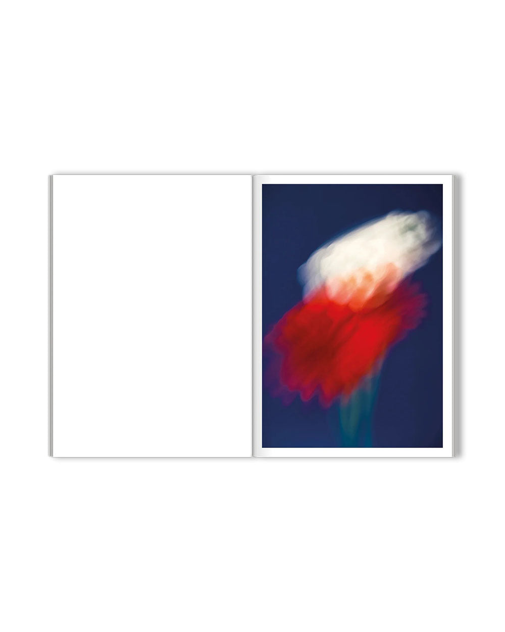 The Chromatics of Flowers