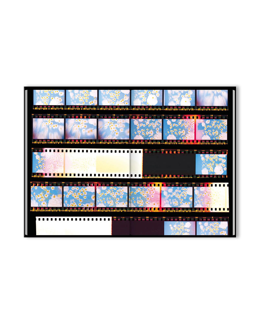 The Chromatics of Flowers