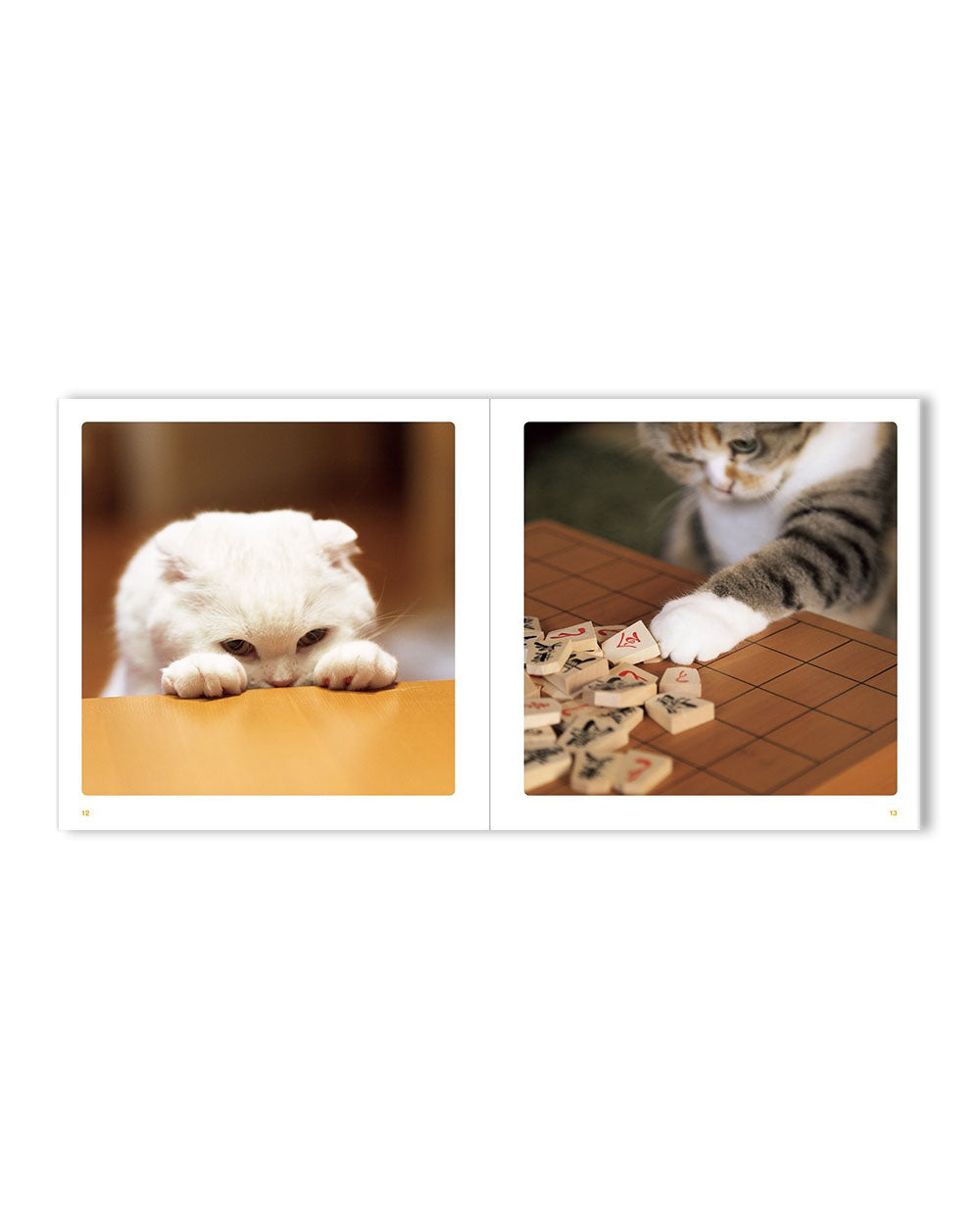 Cats Hands (Japanese Edition)